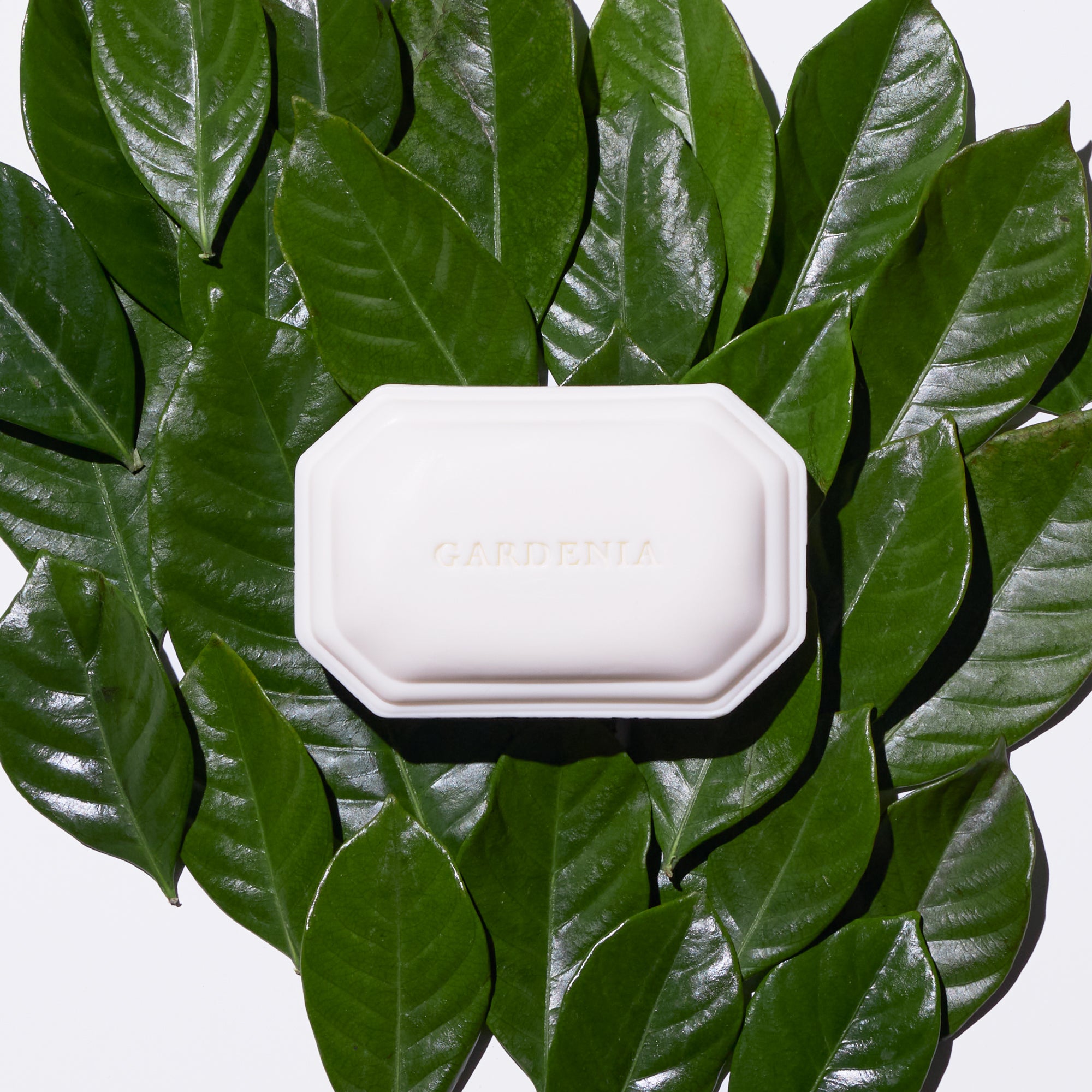 Gardenia Bar Soap Bar Soap Caswell-Massey®