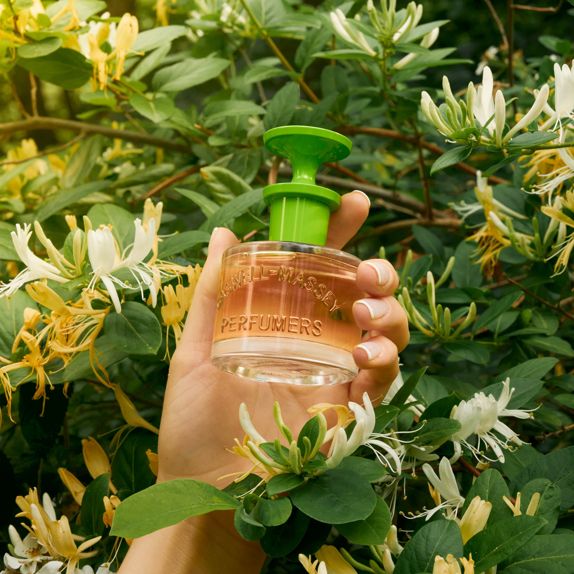 Honeysuckle Eau de Toilette Fragrance Caswell-Massey®