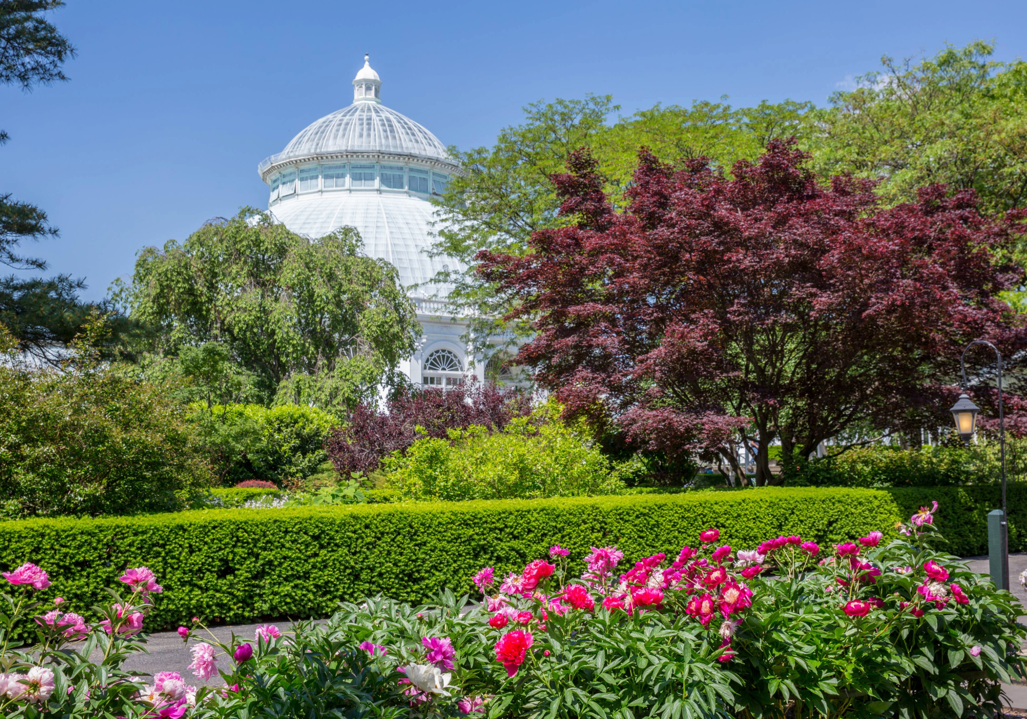 Caswell-Massey and The New York Botanical Garden Collection: image of NYBG Conservatory