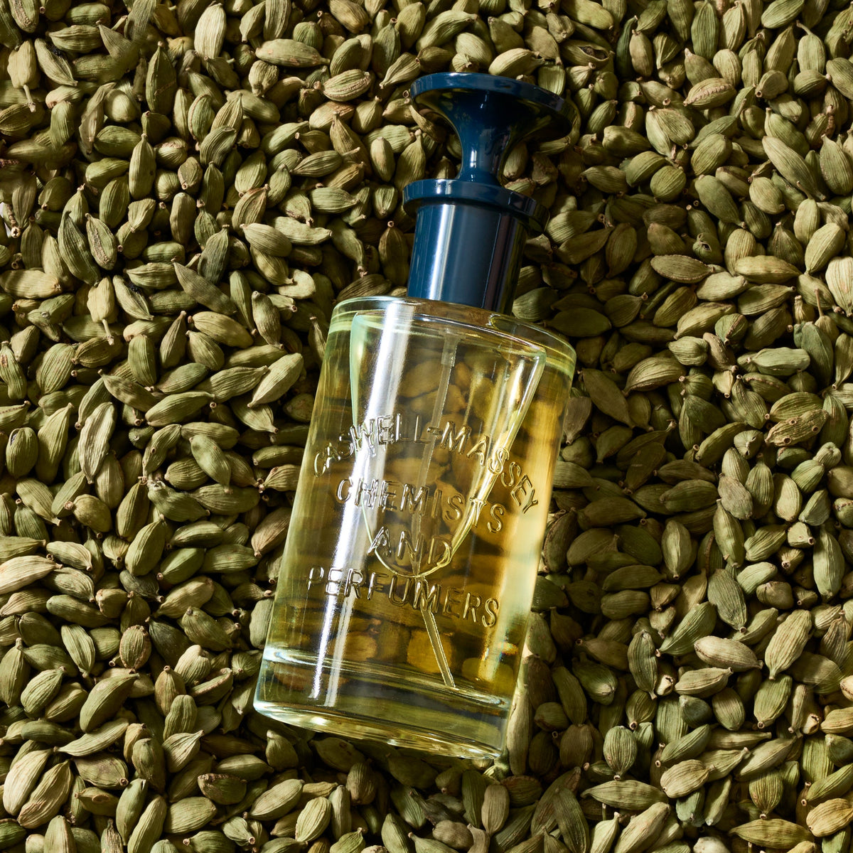 Caswell-Massey 2571 Eau de Parfum fragrance bottle with blue cap shown in bed of cardamom pods