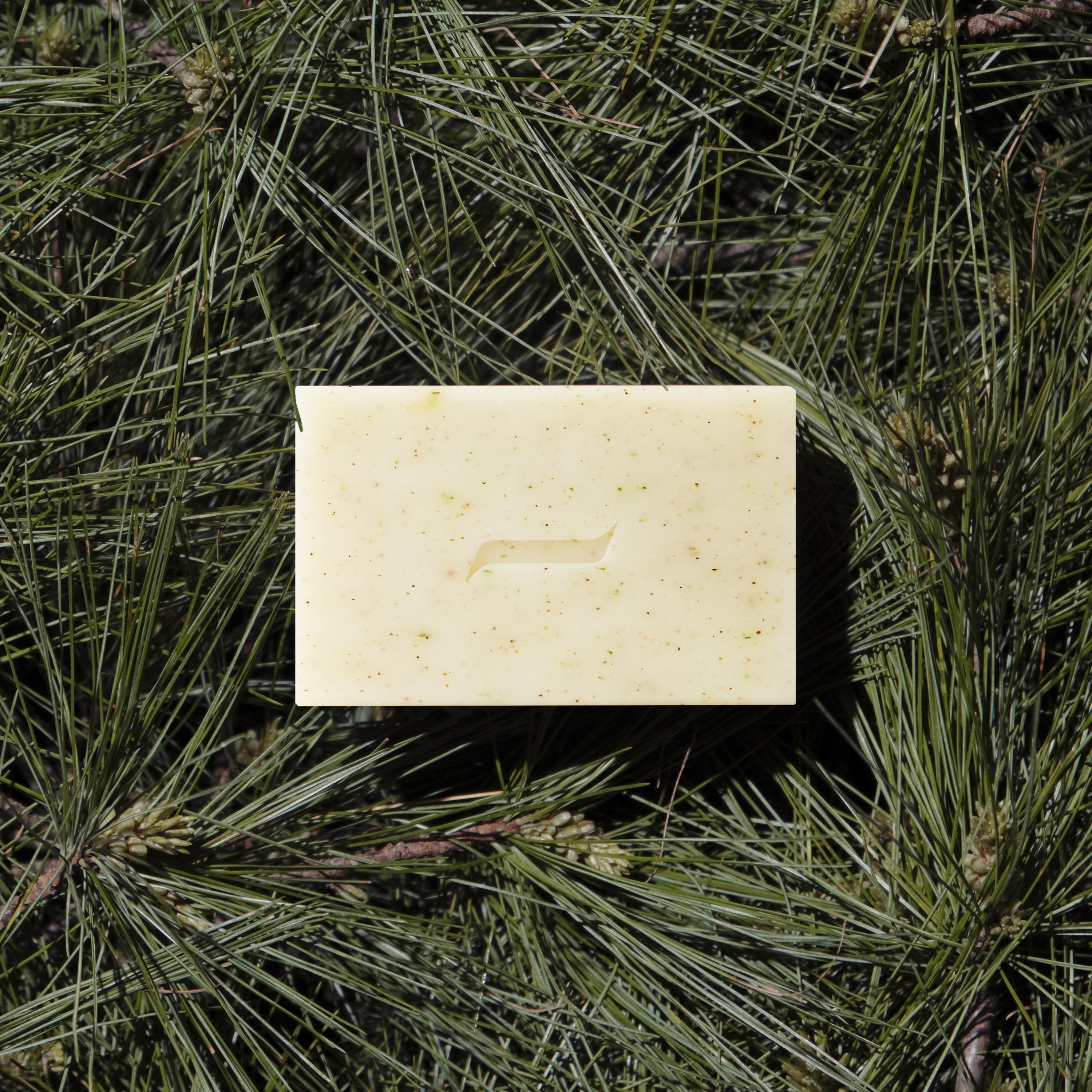 Patchouli and Pine Bar Soap Bar Soap Caswell-Massey®
