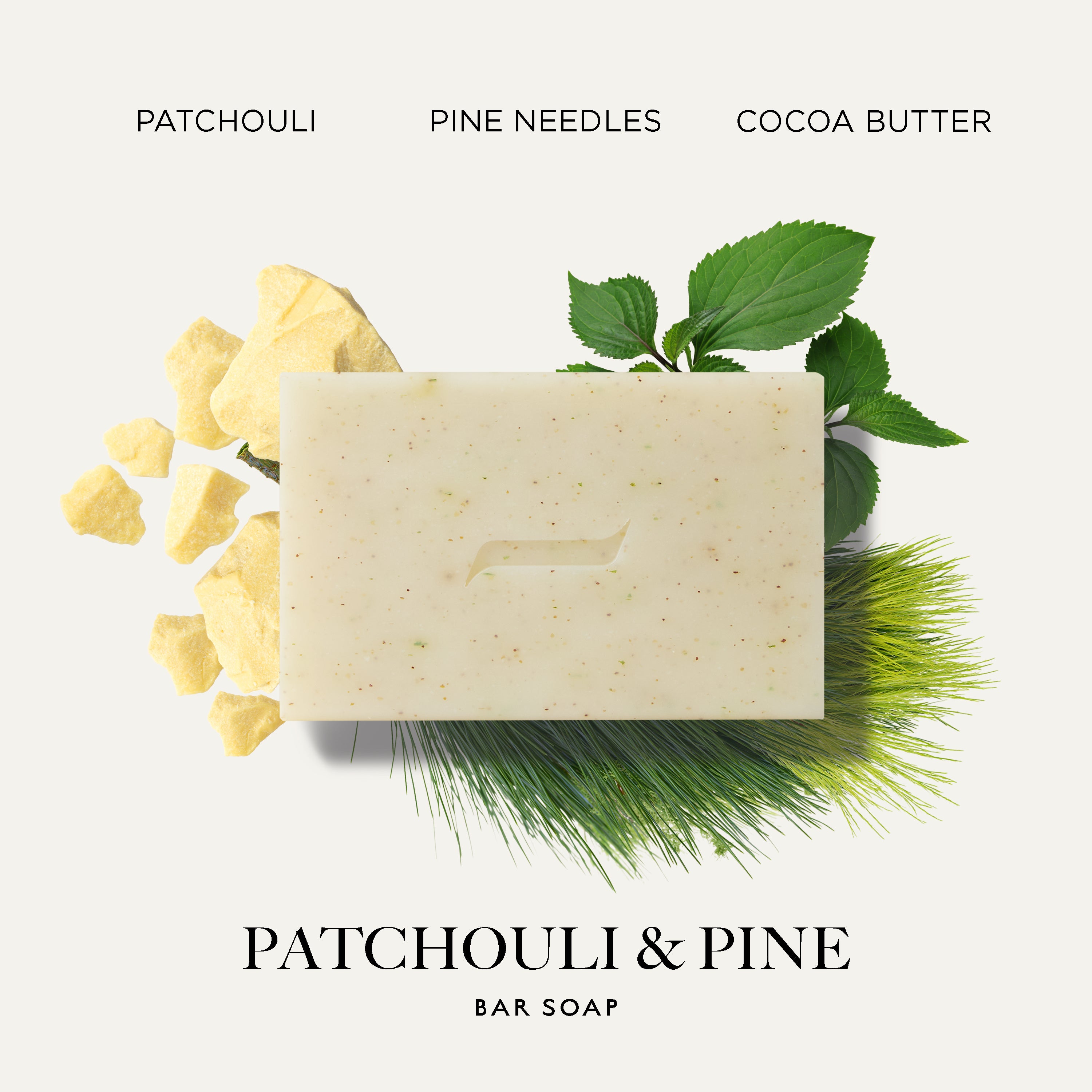 A rectangular bar Caswell-Massey's Patchouli and Pine creamy off-white soap centered on a light warm gray background, with patchouli pieces, green pine needles, and green leaves around it. Text at the top reads 'PATCHOULI PINE NEEDLES COCOA BUTTER' and text at the bottom reads 'PATCHOULI & PINE BAR SOAP'.