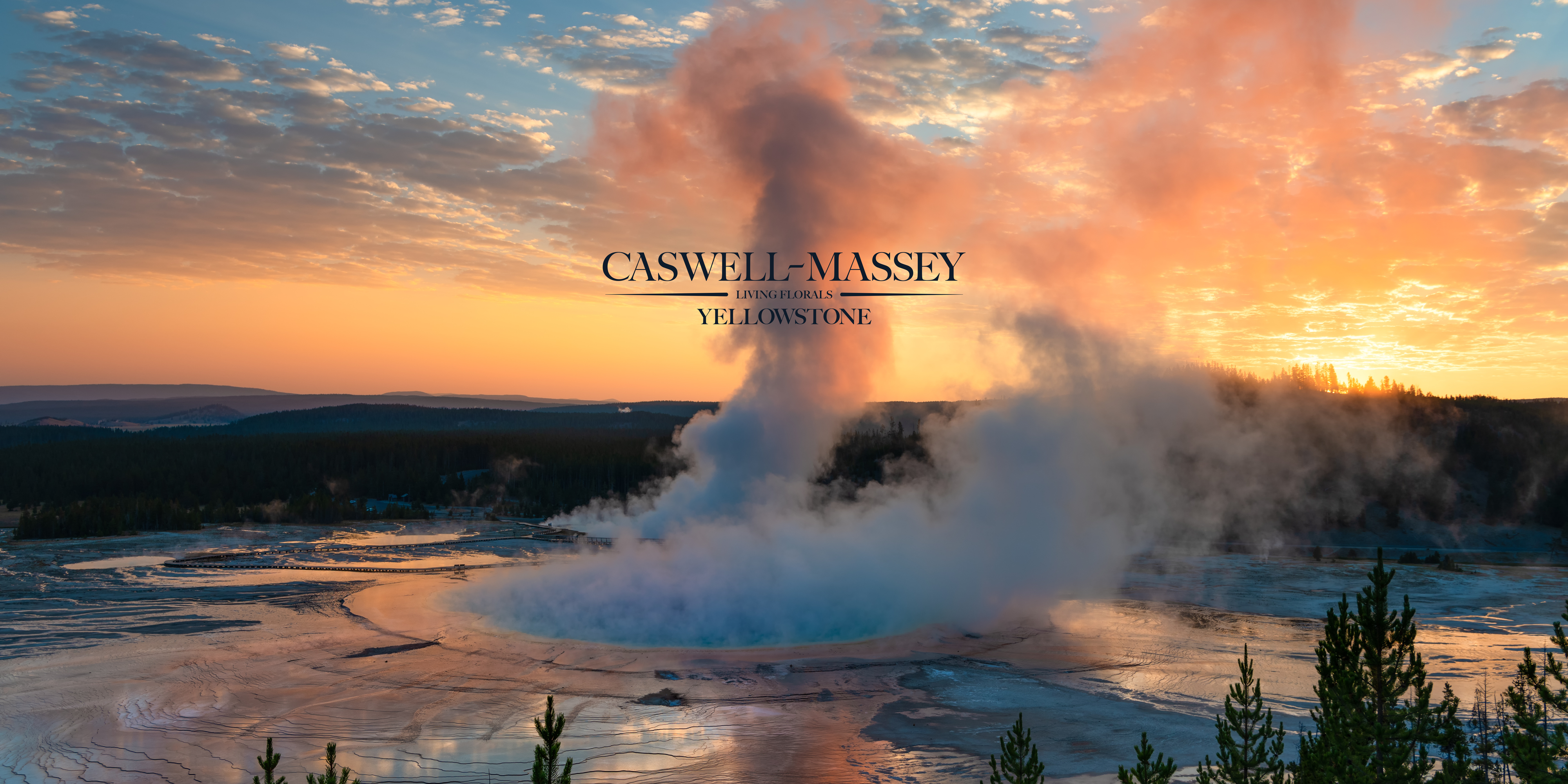 Caswell-Massey: Image of Old Faithful Geyser erupting