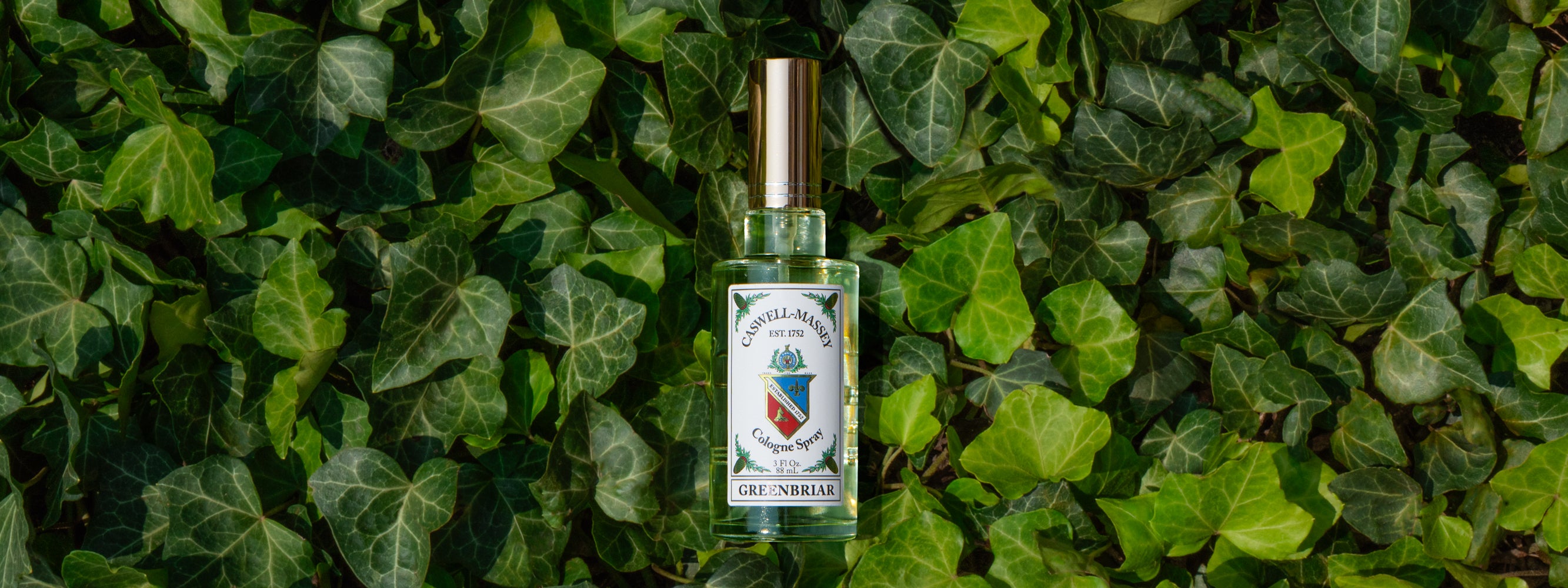 Caswell-Massey Greenbriar Cologne in bed of ivy leaves