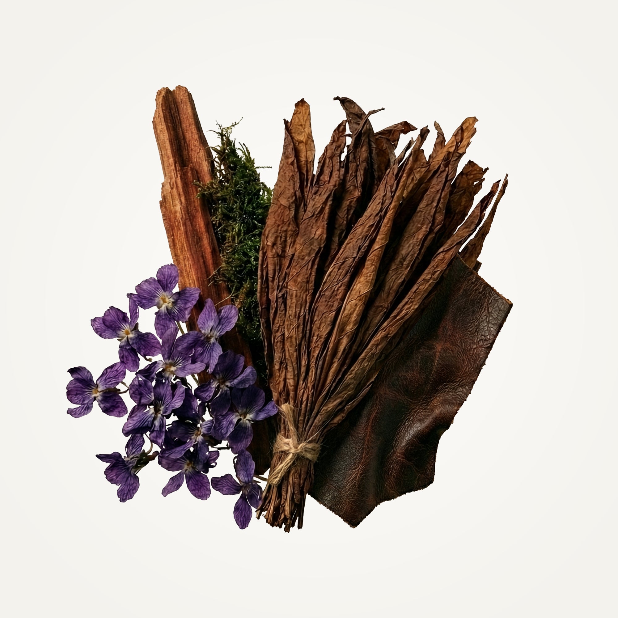 LX48 Eau de Parfum Fragrance Caswell-Massey®