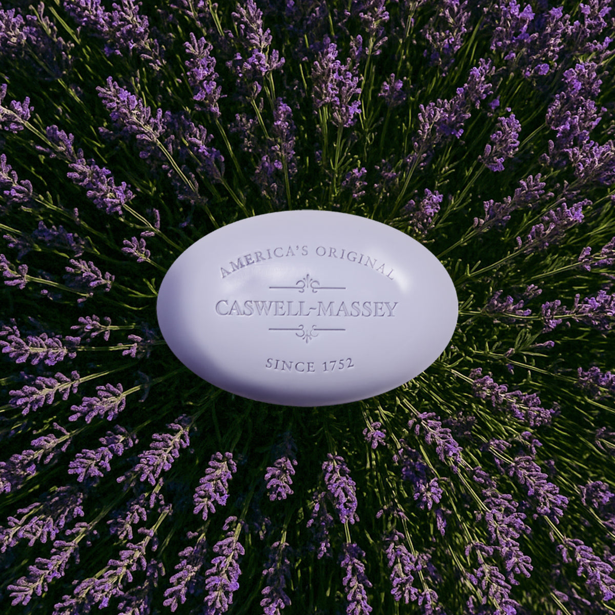 Lavender Bar Soap Bar Soap Caswell-Massey®