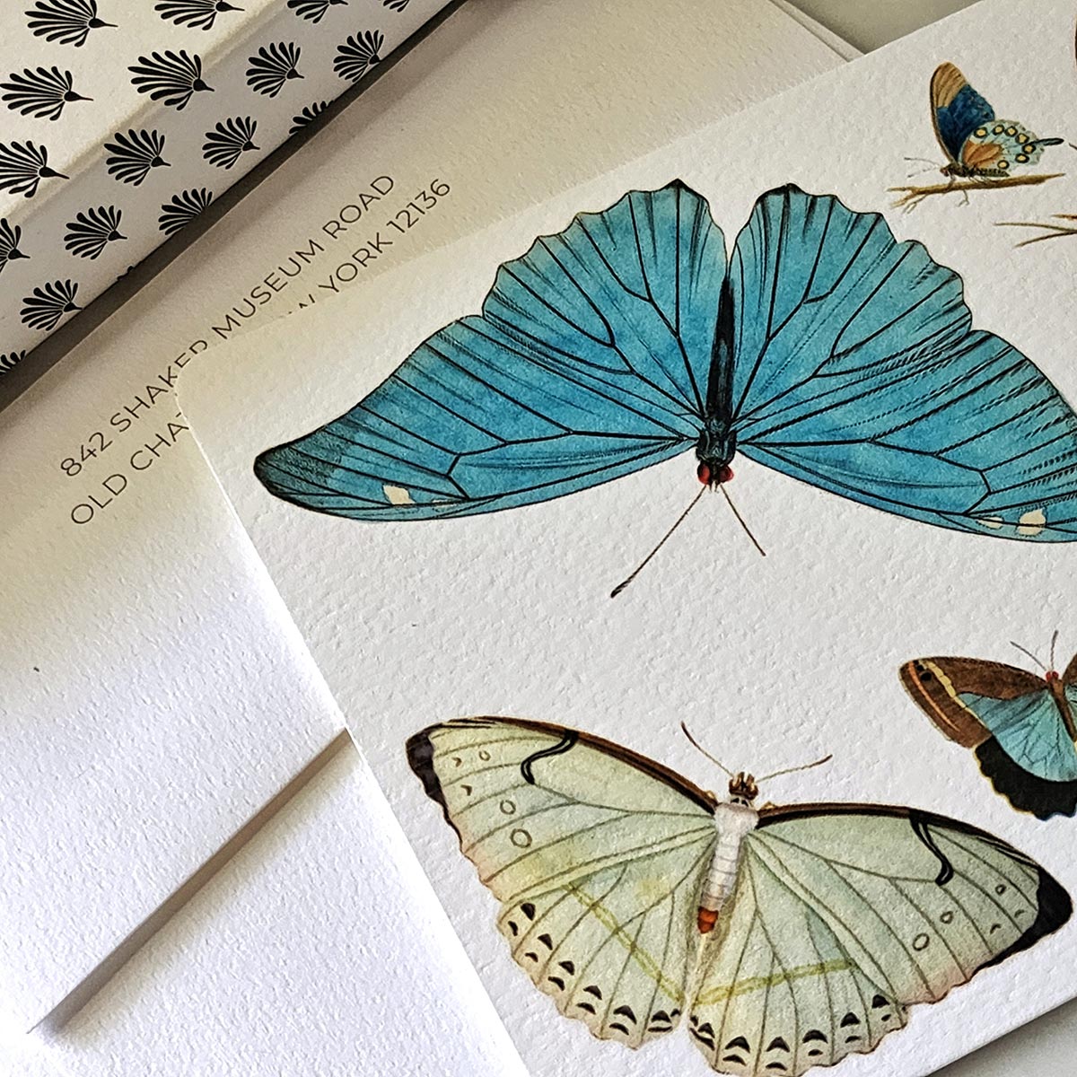 Blue Butterflies - Pack of Note Cards