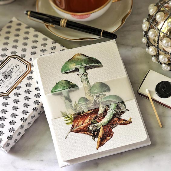 Verdigris Mushrooms - Pack of Note Cards