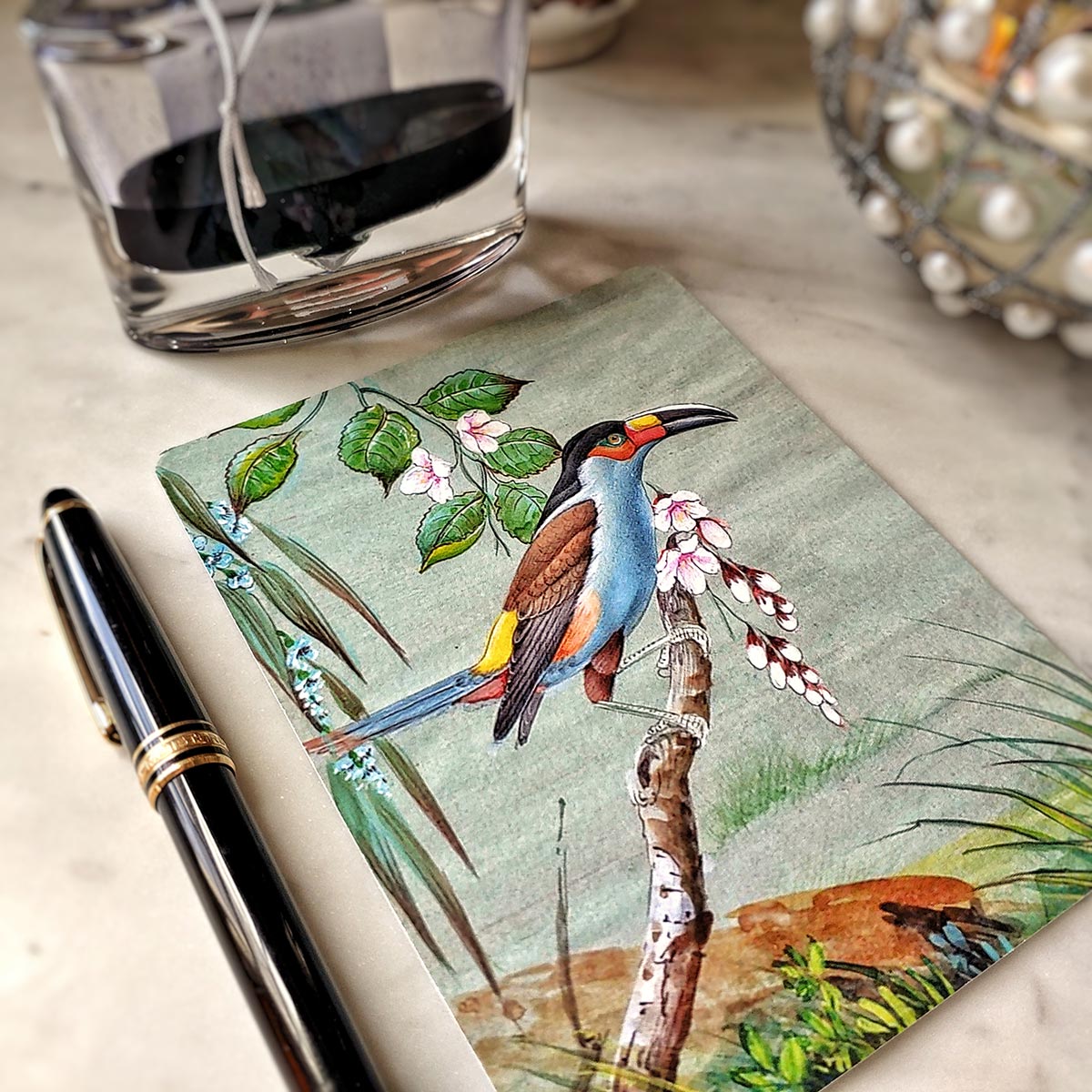 Birds of India - Pack of Note Cards