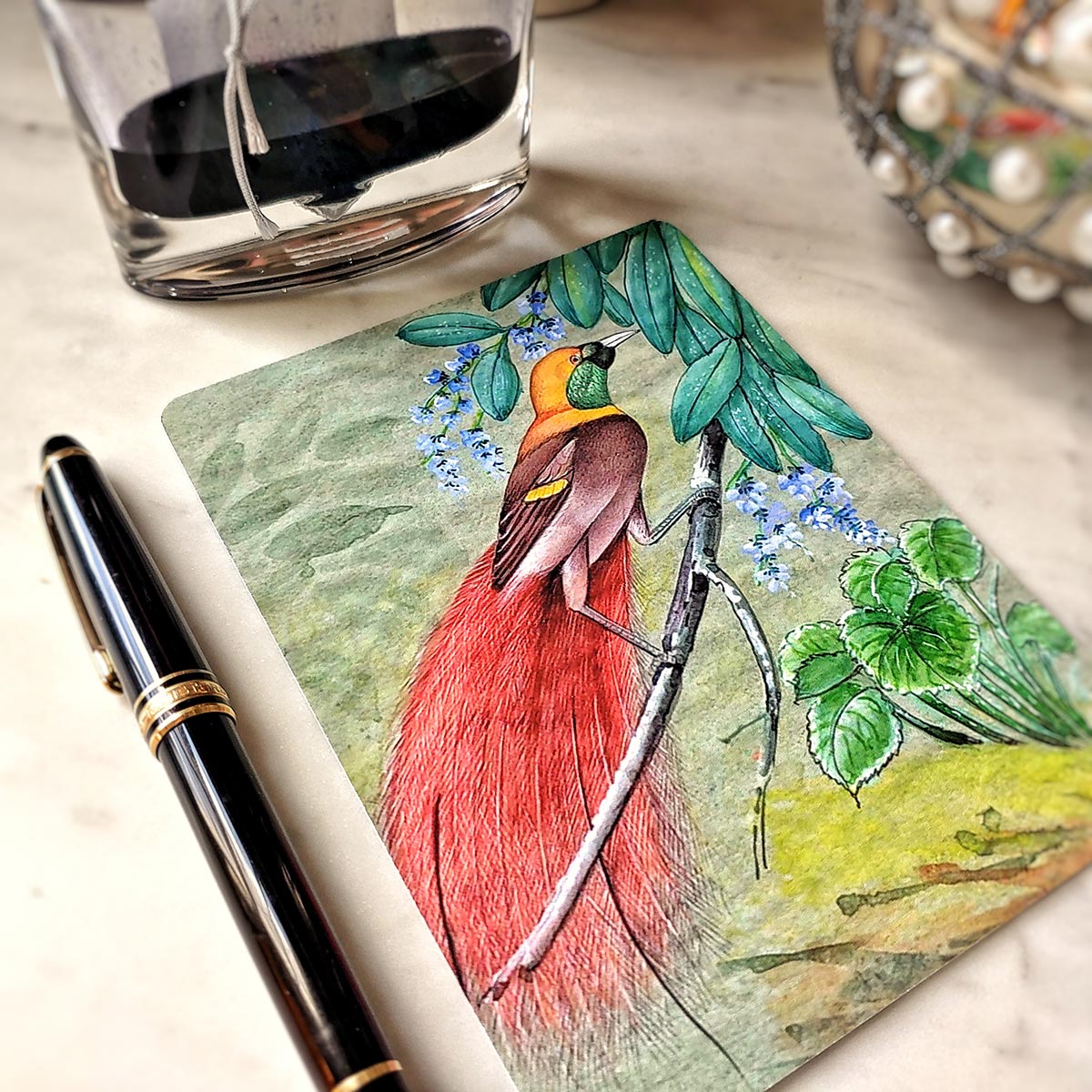 Birds of India - Pack of Note Cards