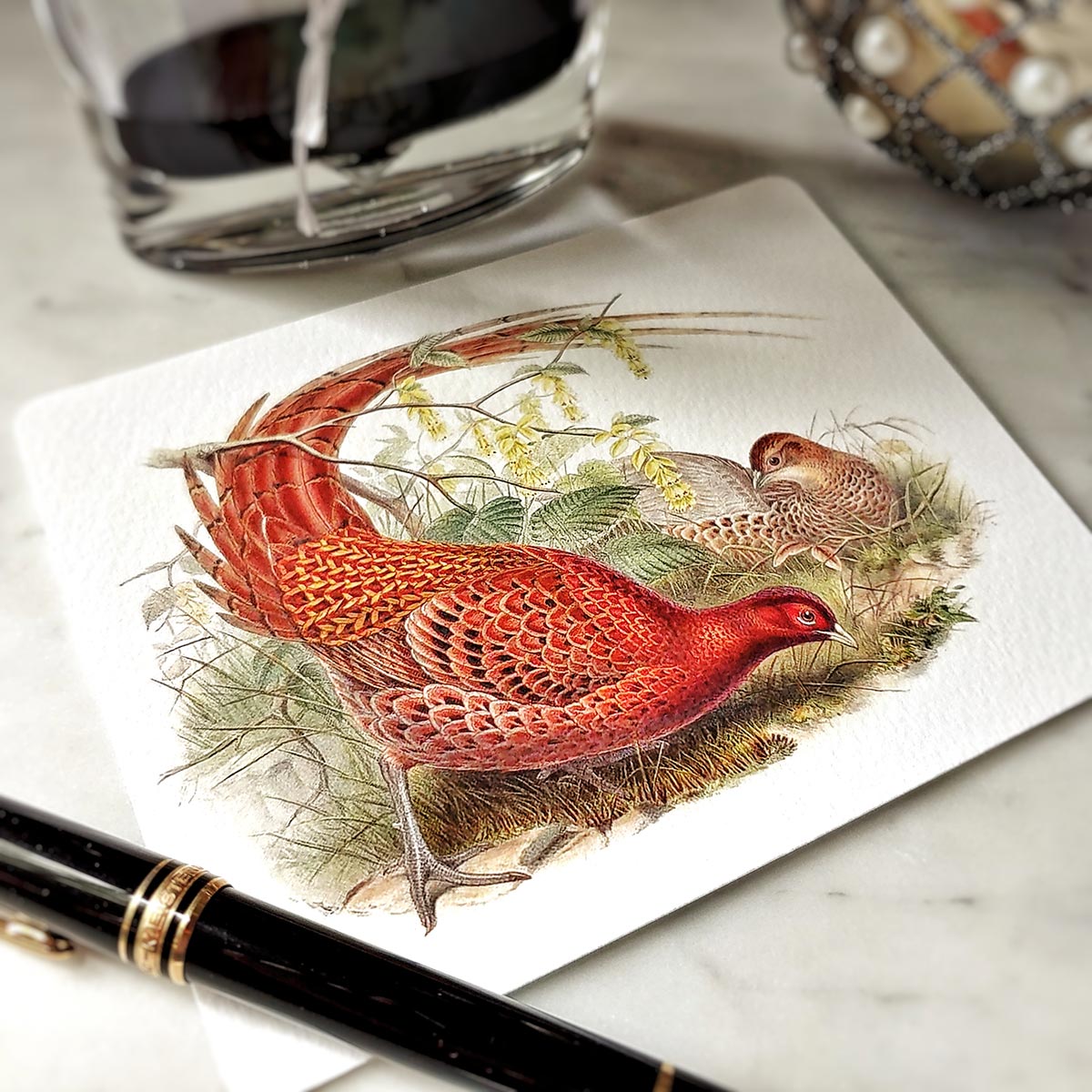 Fiery Pheasants - Pack of Note Cards