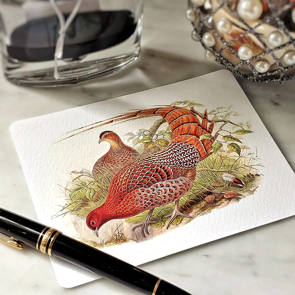 Fiery Pheasants - Pack of Note Cards