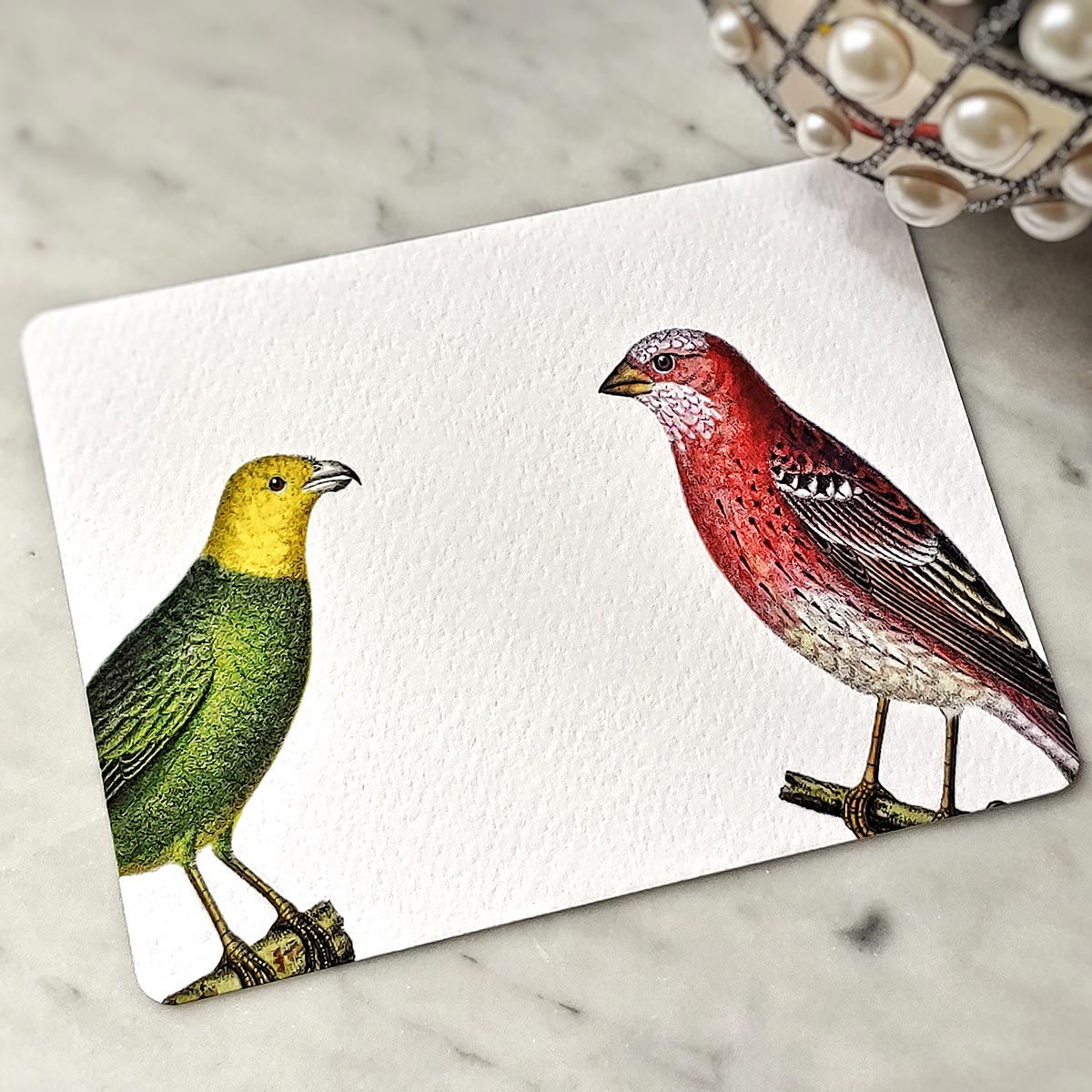 Chromatic Cuckoo - Pack of Note Cards