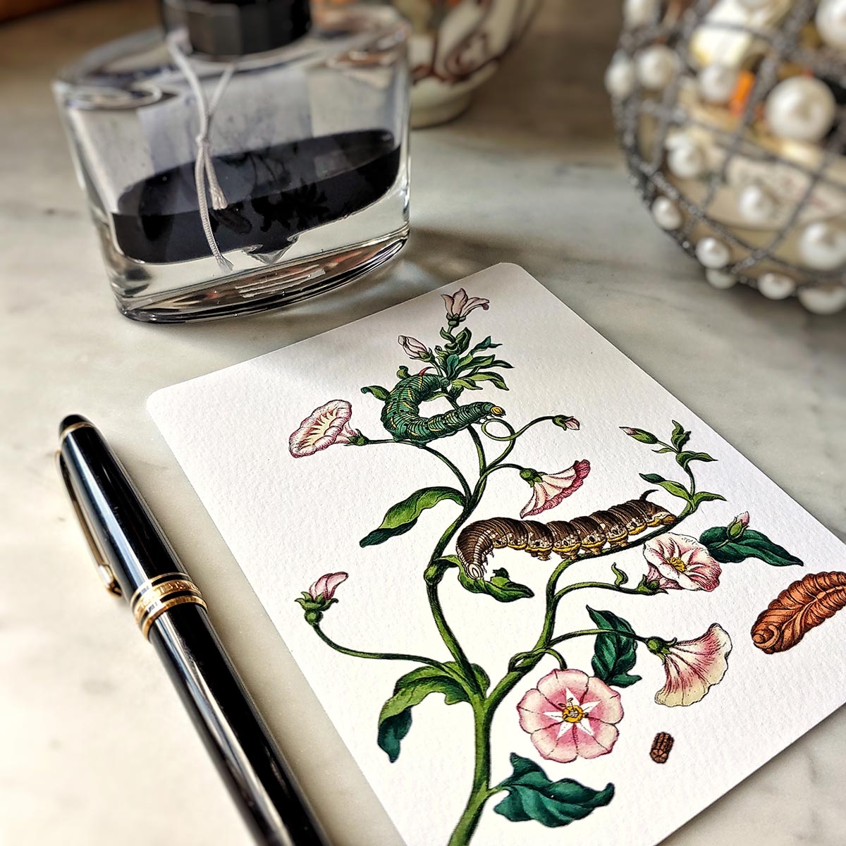 Signs of Spring - Pack of Note Cards