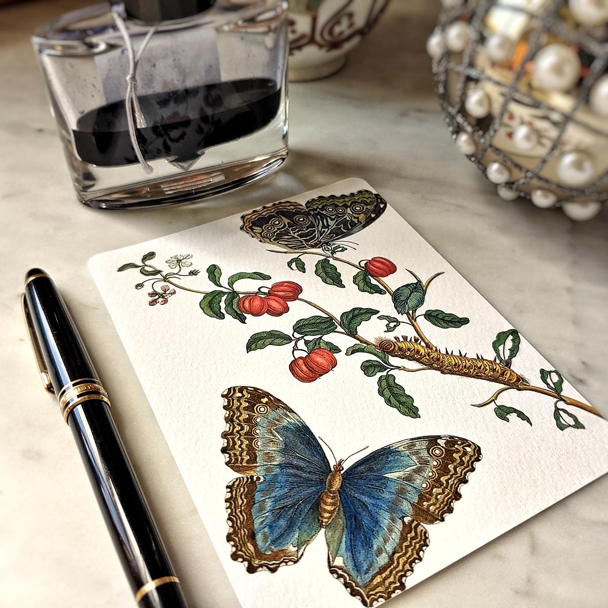 Signs of Spring - Pack of Note Cards