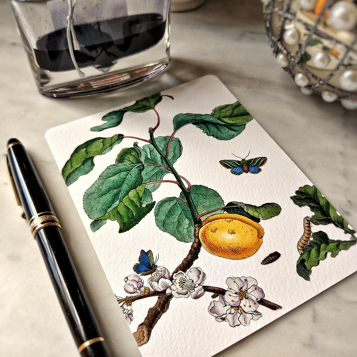 Signs of Spring - Pack of Note Cards