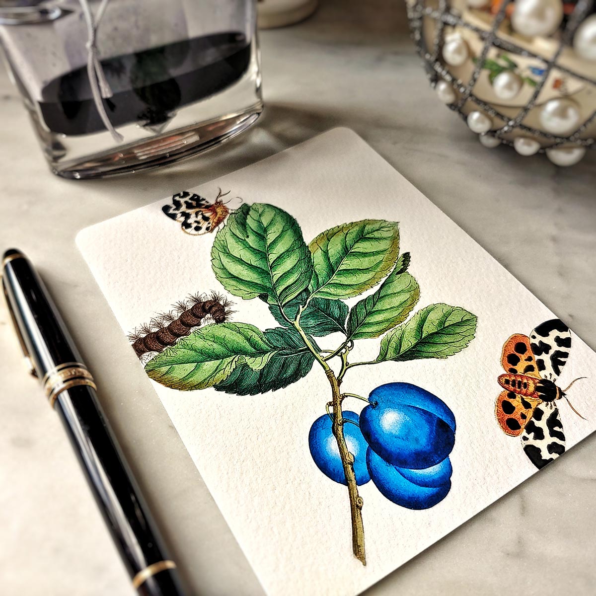 Signs of Spring - Pack of Note Cards