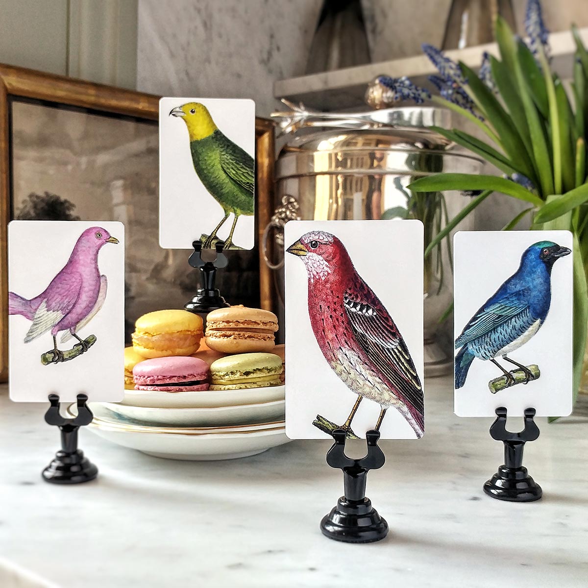 Chromatic Cuckoo - Place Cards - Upright