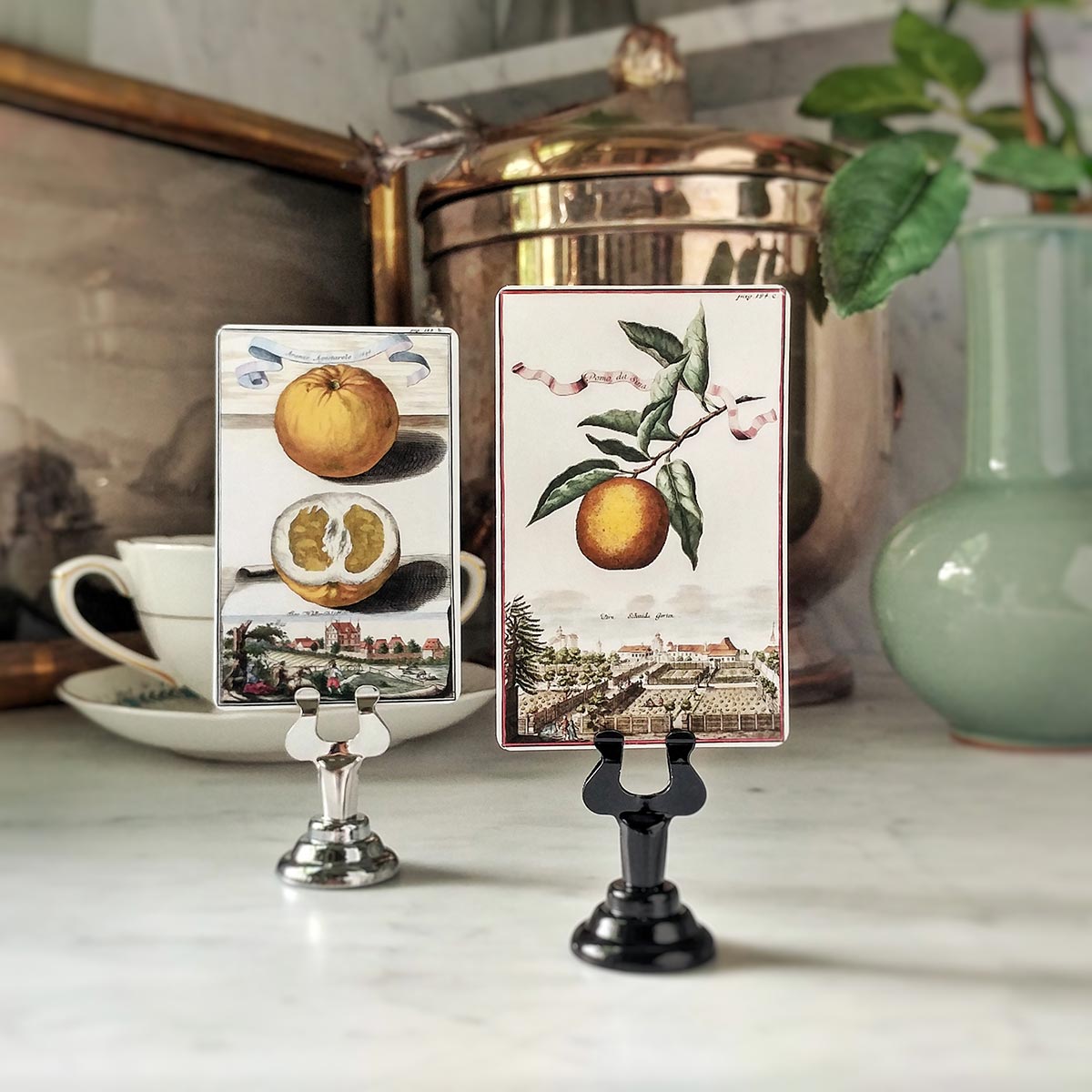Citrus Gardens - Place Cards - Upright
