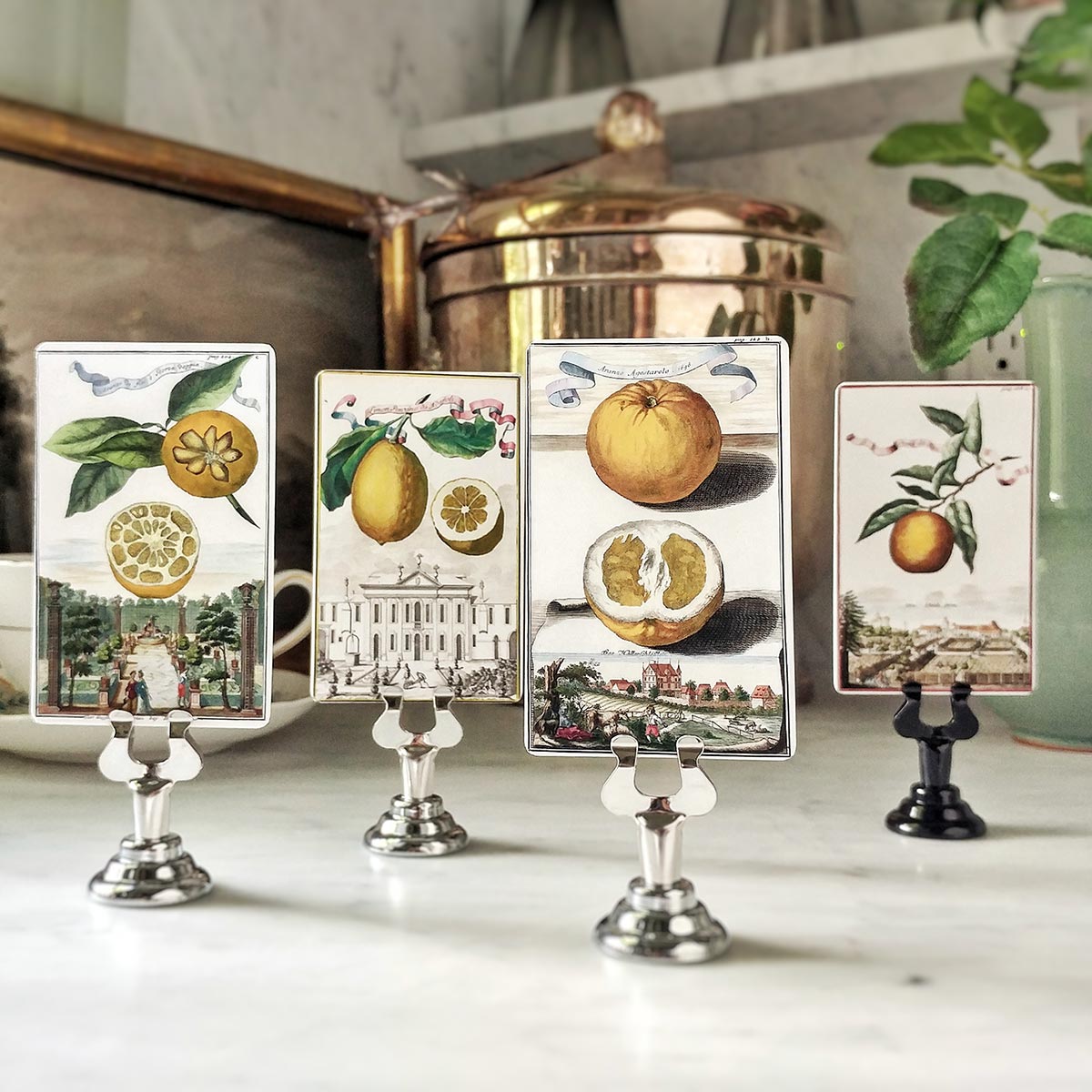 Citrus Gardens - Place Cards - Upright