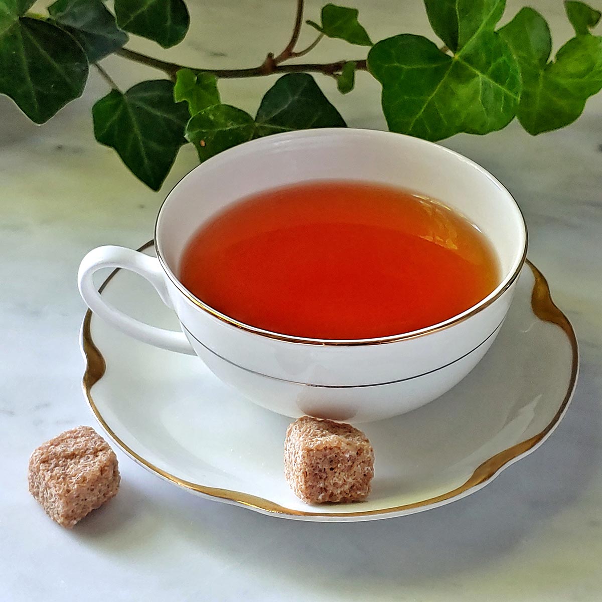 Darjeeling | Mr. P's Teas
