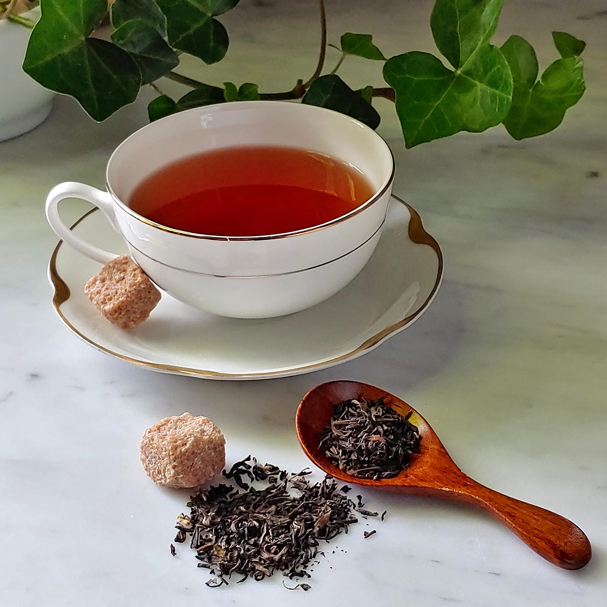 Darjeeling | Mr. P's Teas