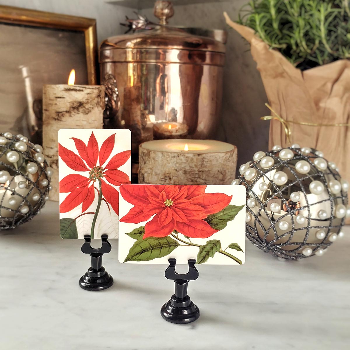 Poinsettia - Place Cards - Upright