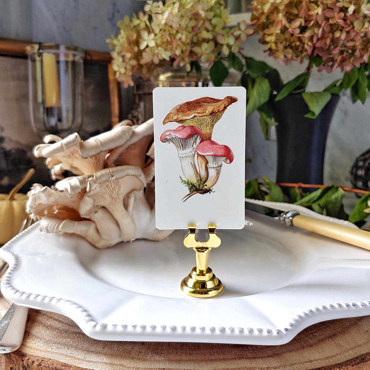 Russula Mushroom - Place Cards- Upright