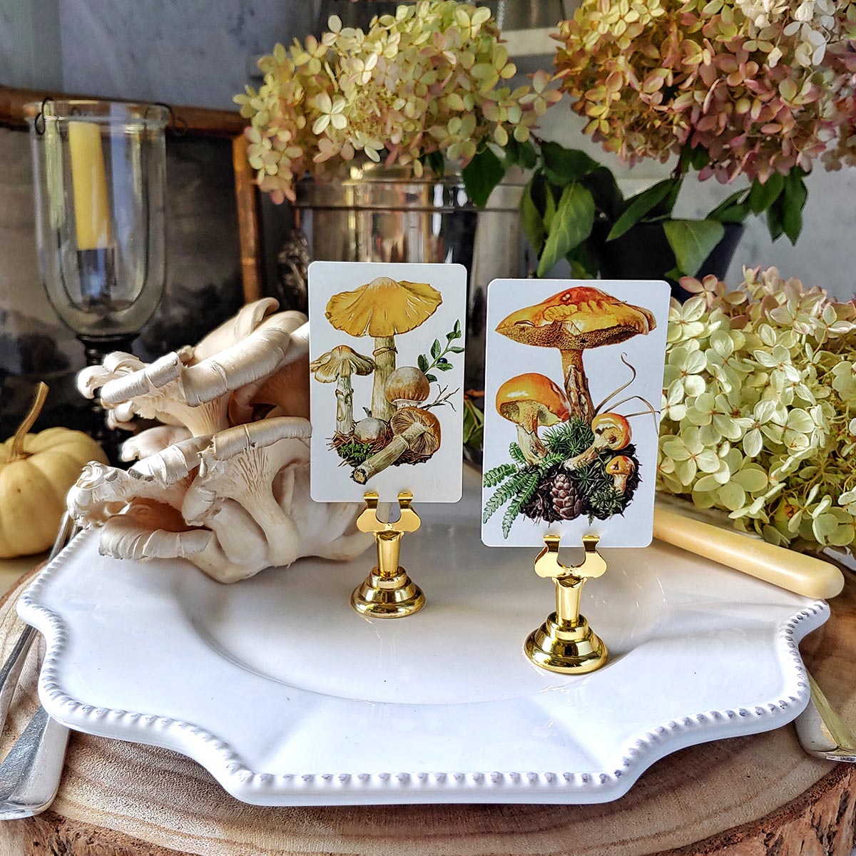 Saffron Parasol Mushrooms - Place Cards - Upright