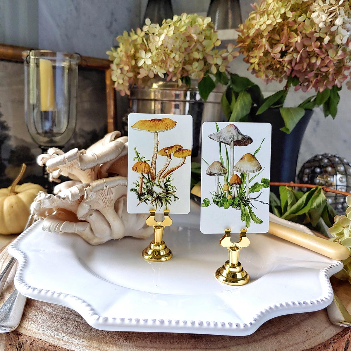 Saffron Parasol Mushrooms - Place Cards - Upright