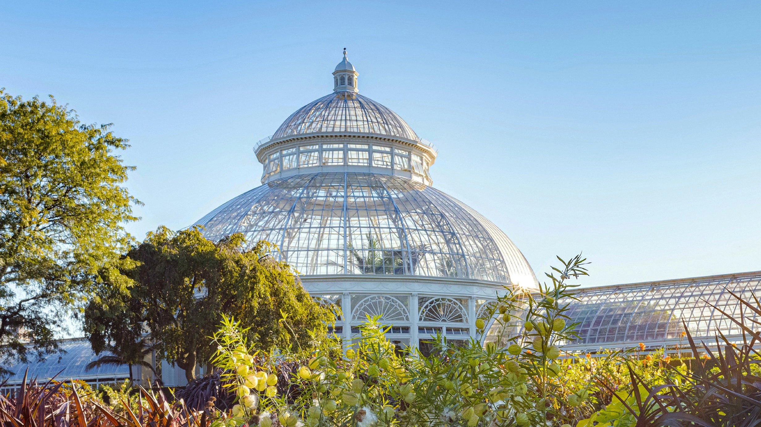 The Conservatory at the NYBG