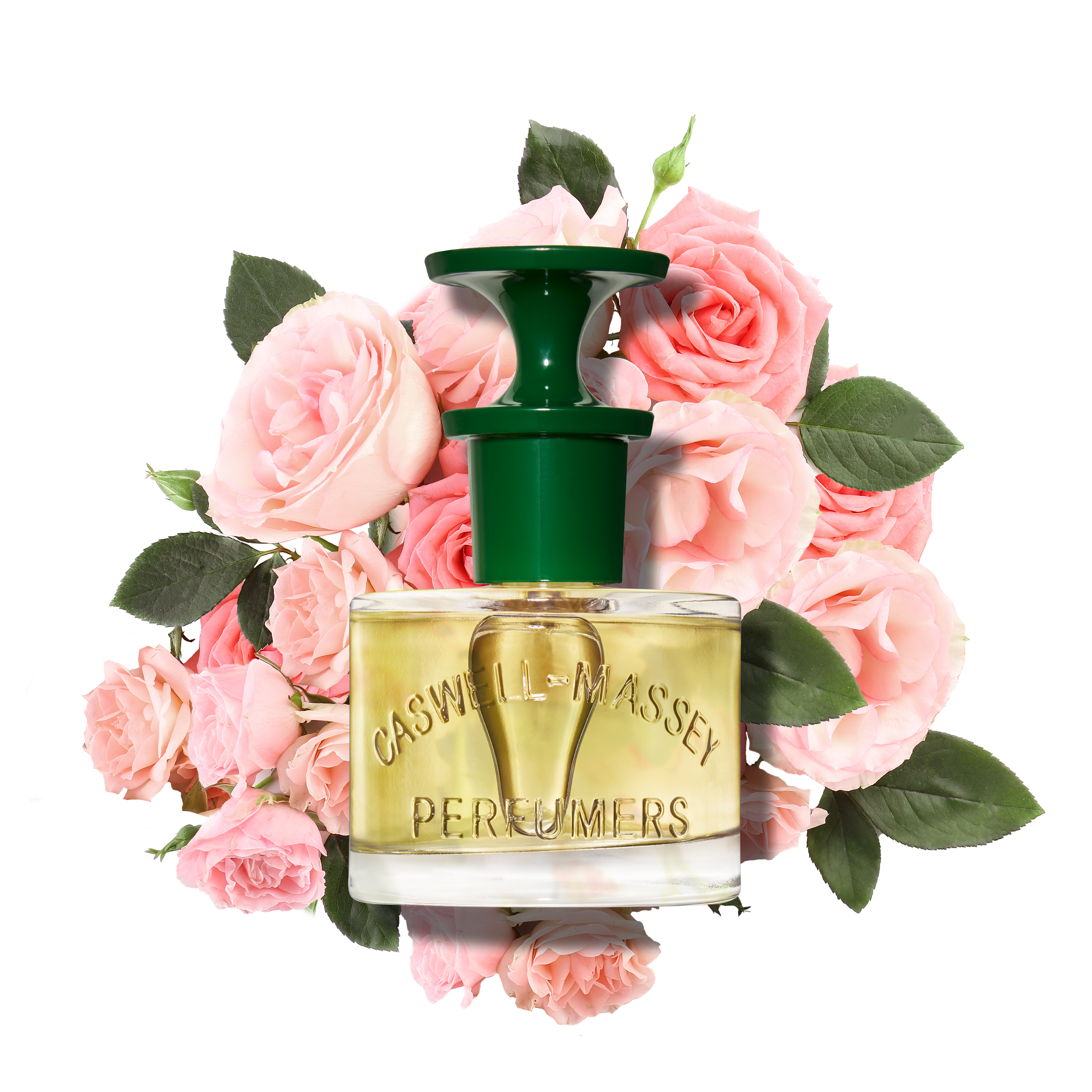 Rose fragrance infographic 60mL, fragrance by Caswell-Massey