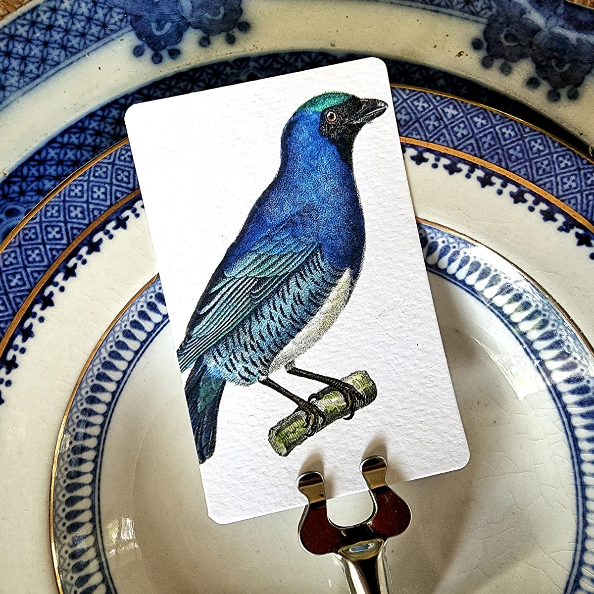 Chromatic Cuckoo - Place Cards - Upright
