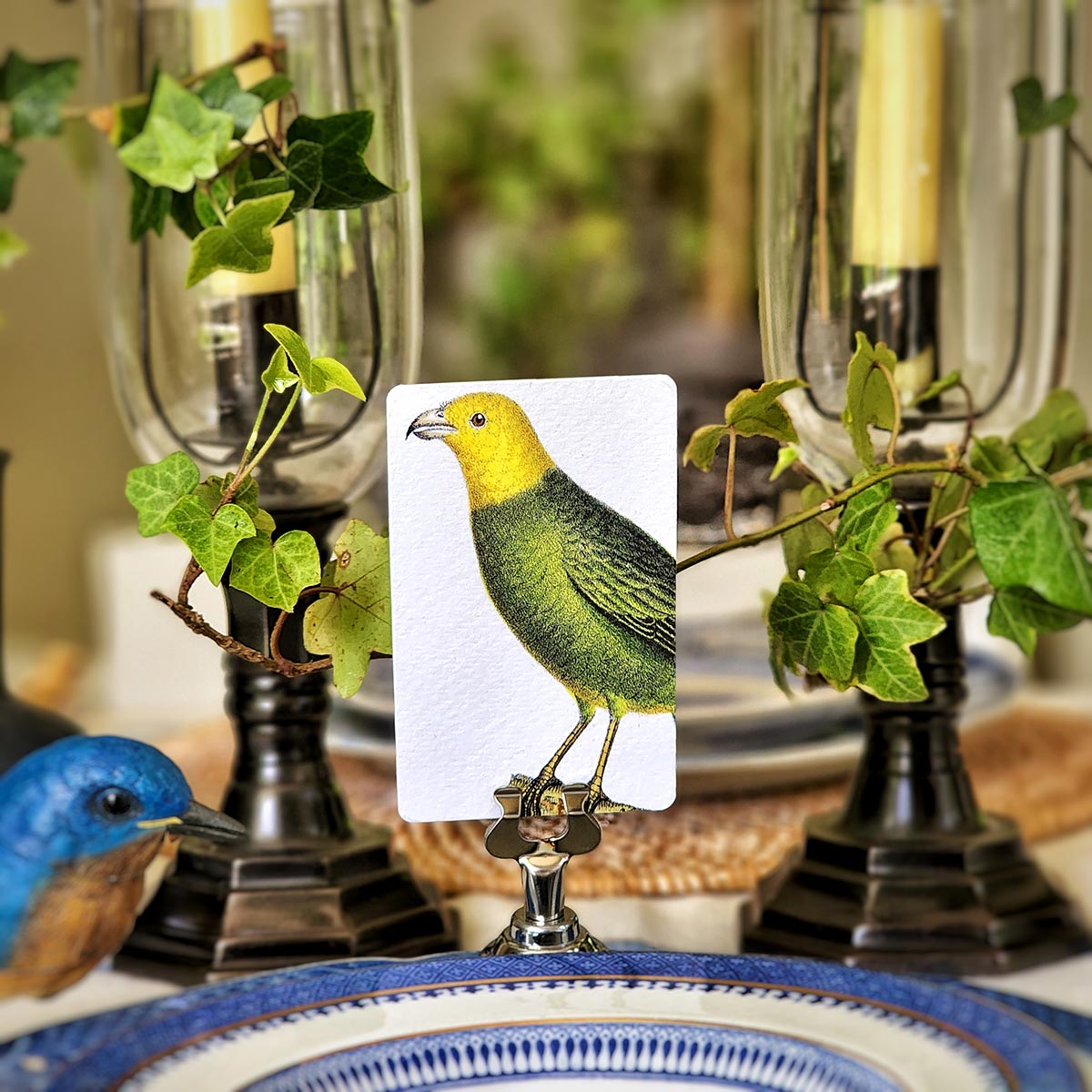 Chromatic Cuckoo - Place Cards - Upright