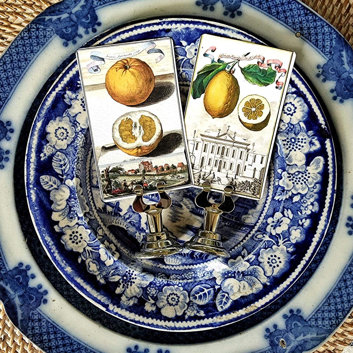 Citrus Gardens - Place Cards - Upright