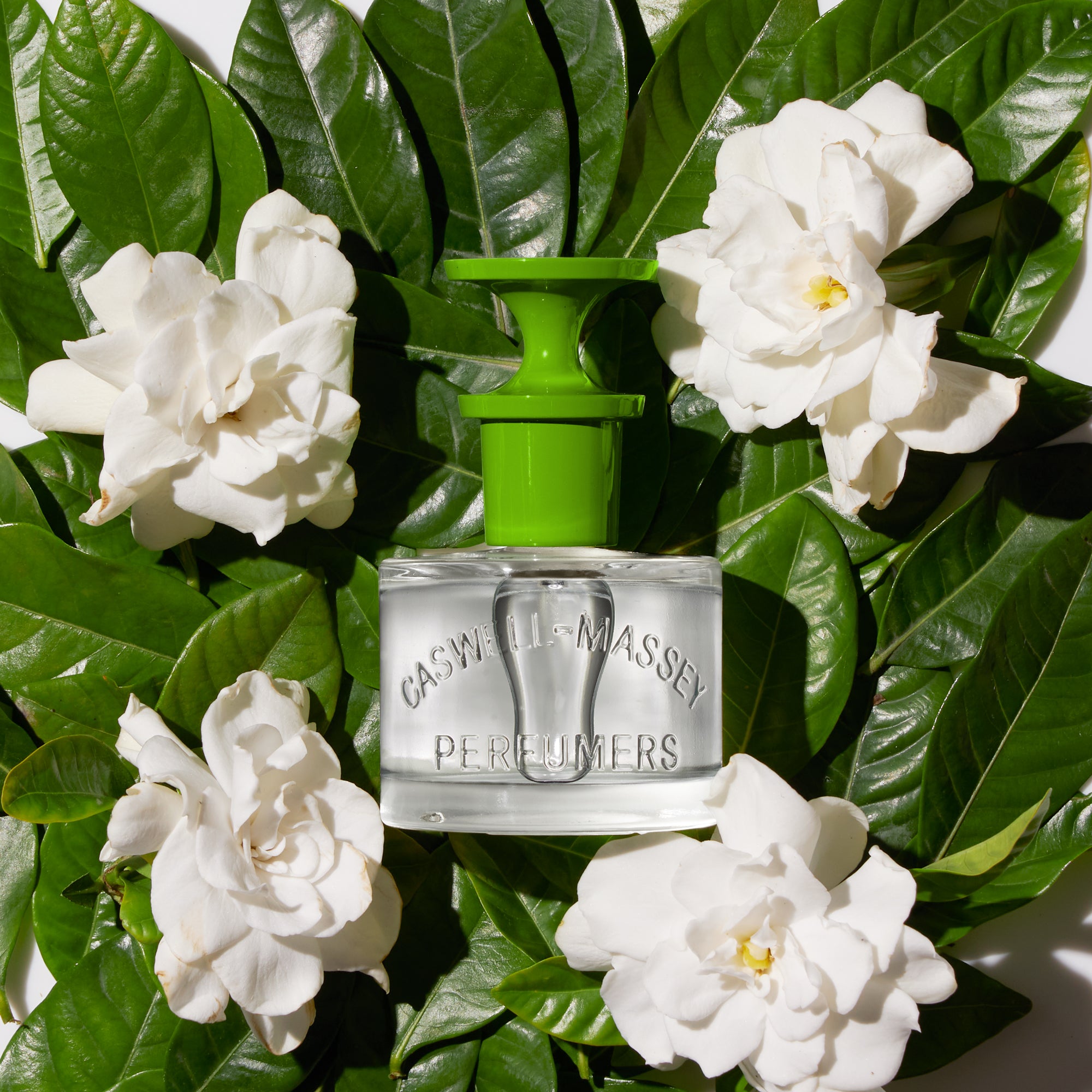 Scent Capture & the Living Florals | Caswell-Massey Blog