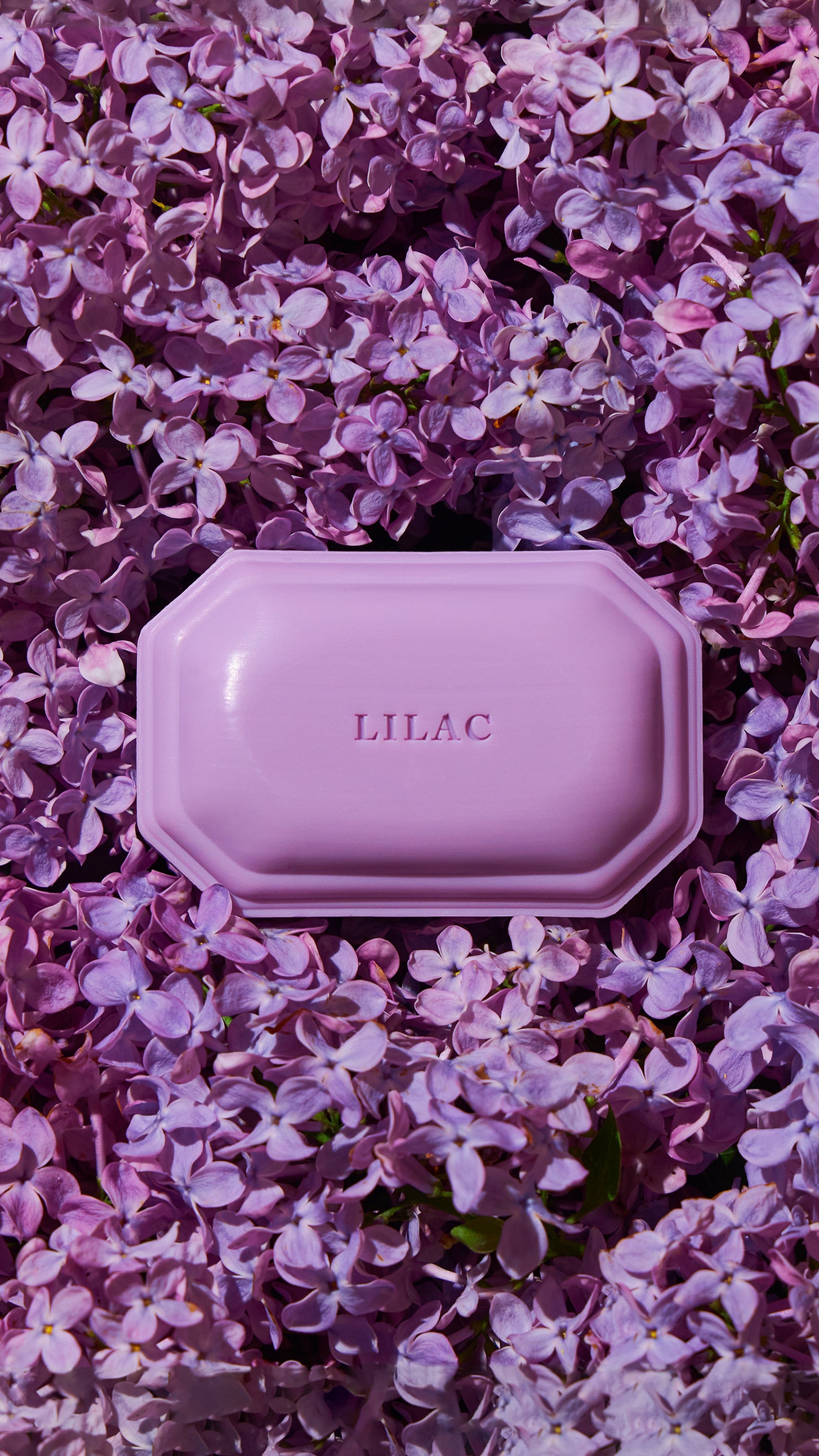 Lilac floral bath soap sitting atop a bed of lilac flowers, made by Caswell-Massey in collaboration with NYBG