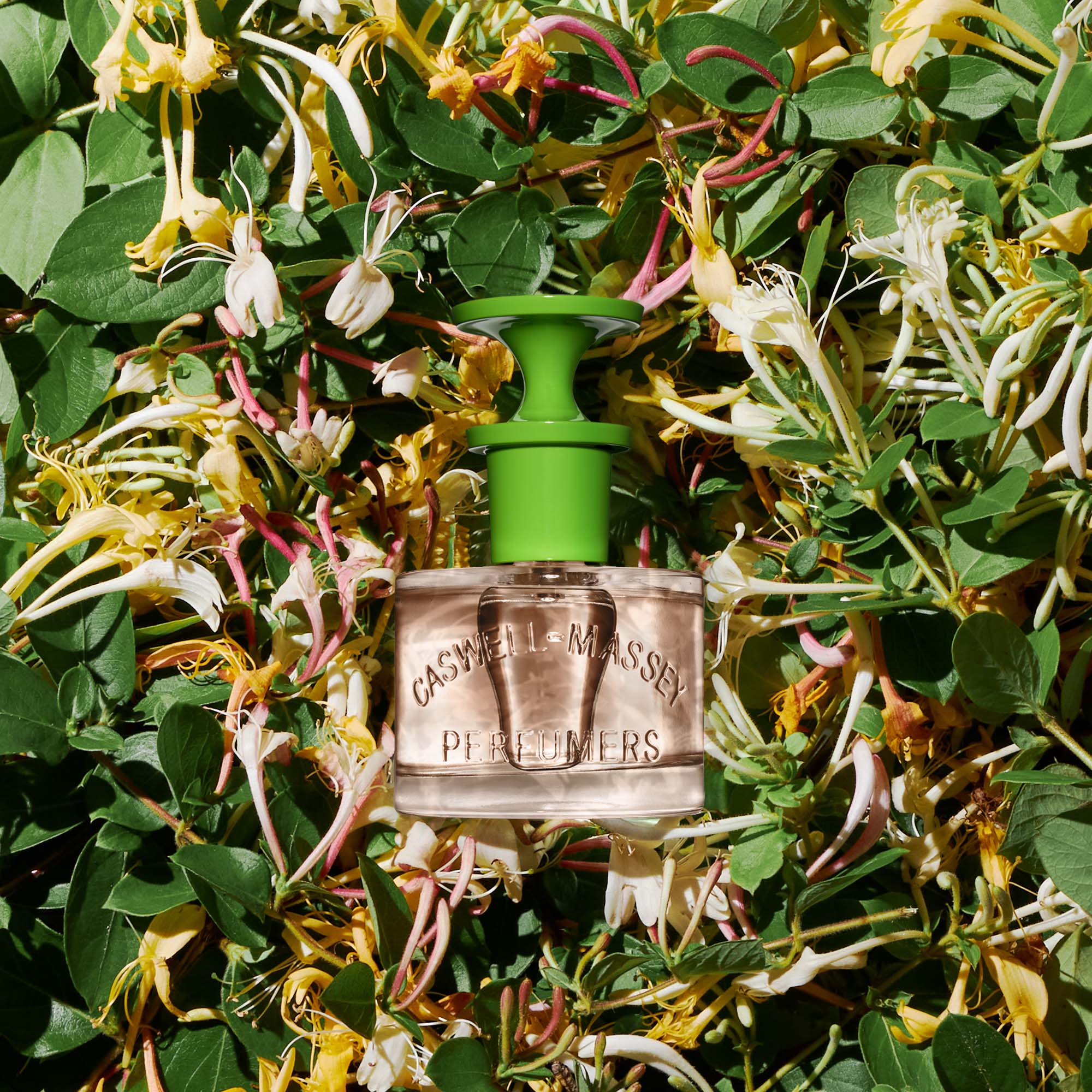 Scent Capture & the Living Florals | Caswell-Massey Blog