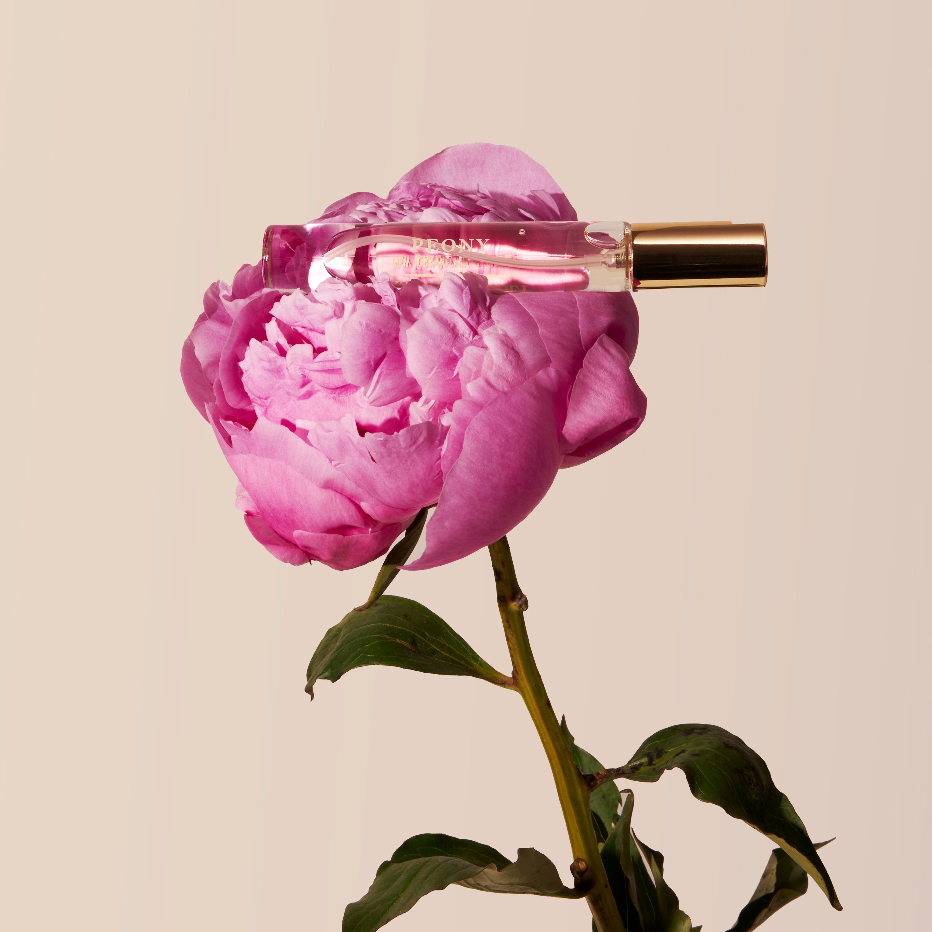 Caswell-Massey Peony Perfume shown sitting a-top a lush pink peony flower