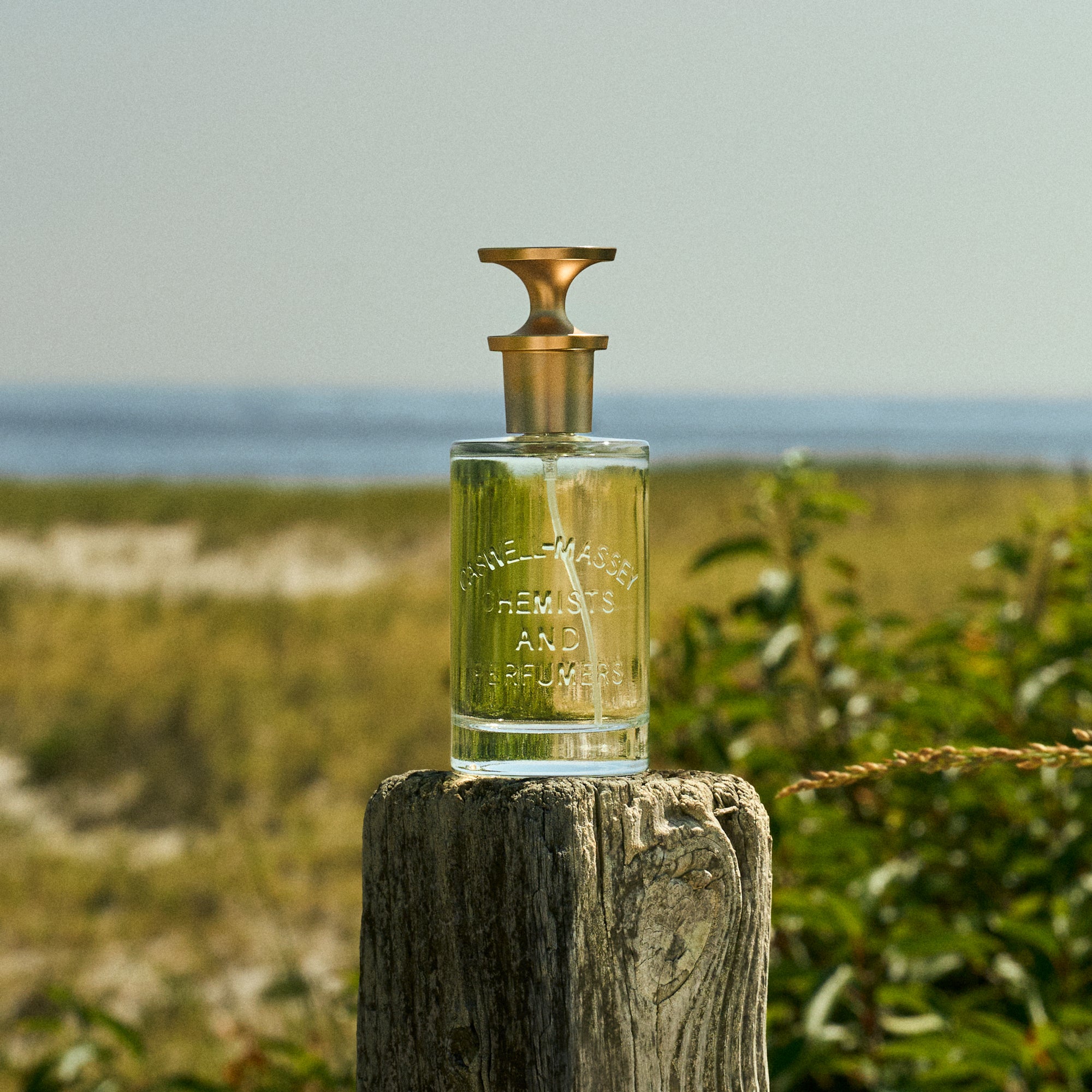 Seaboard Matcha Eau de Parfum Fragrance Caswell-Massey®
