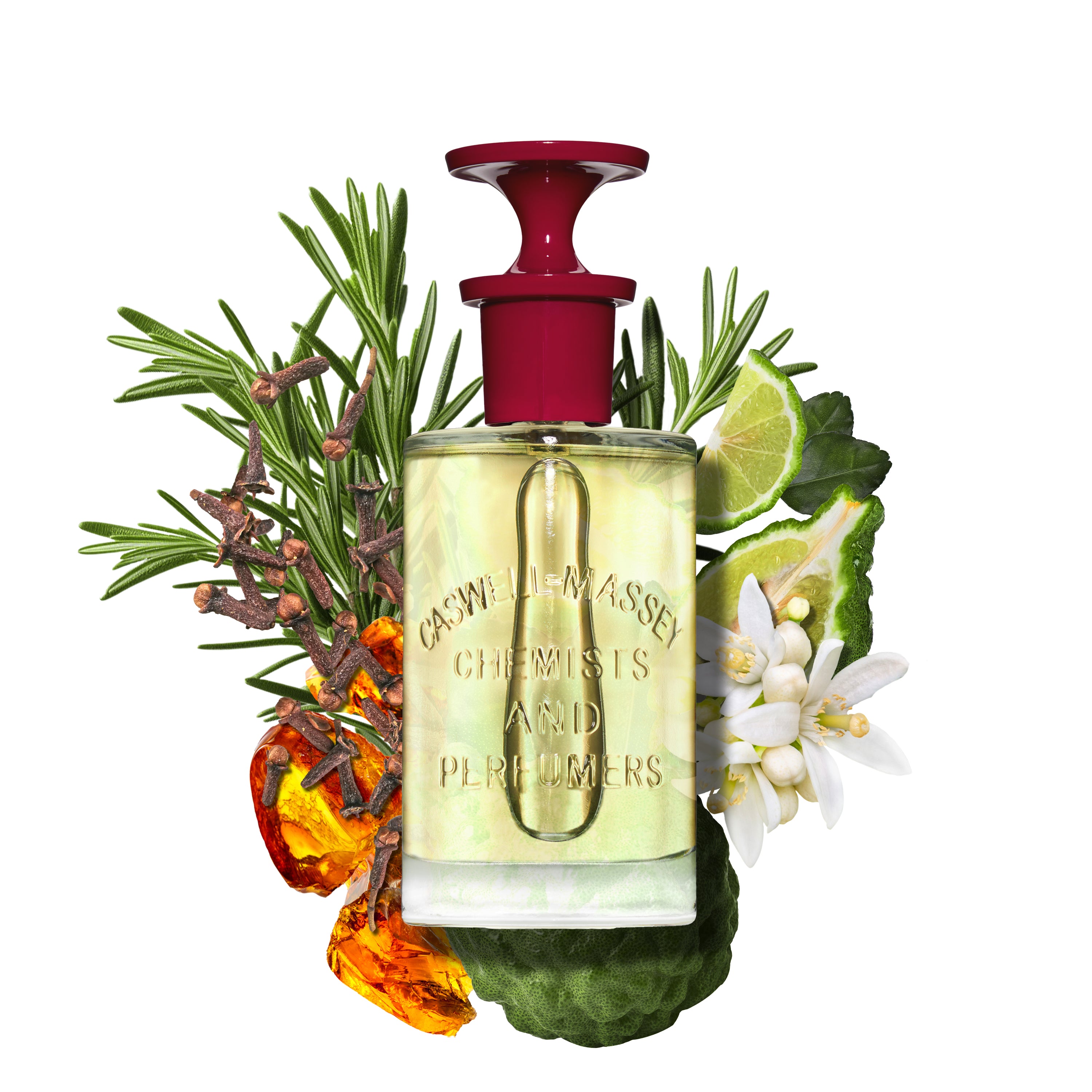 Number Six Eau de Parfum by Caswell-Massey, fragrance for men, 100mL Full-Size 