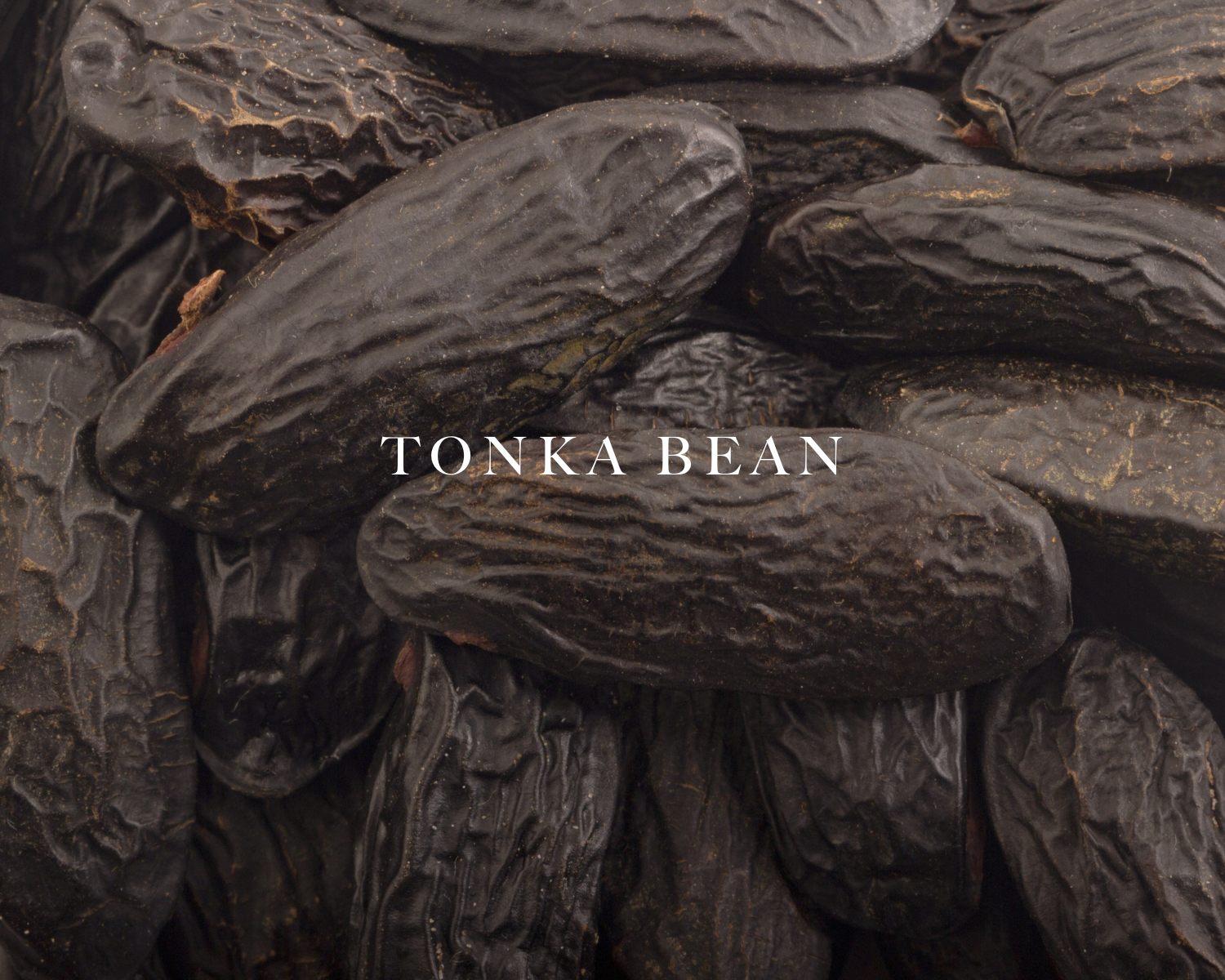 aswell-Massey Almond Eau de Toilette: image of tonka beans to represent one of the scent notes