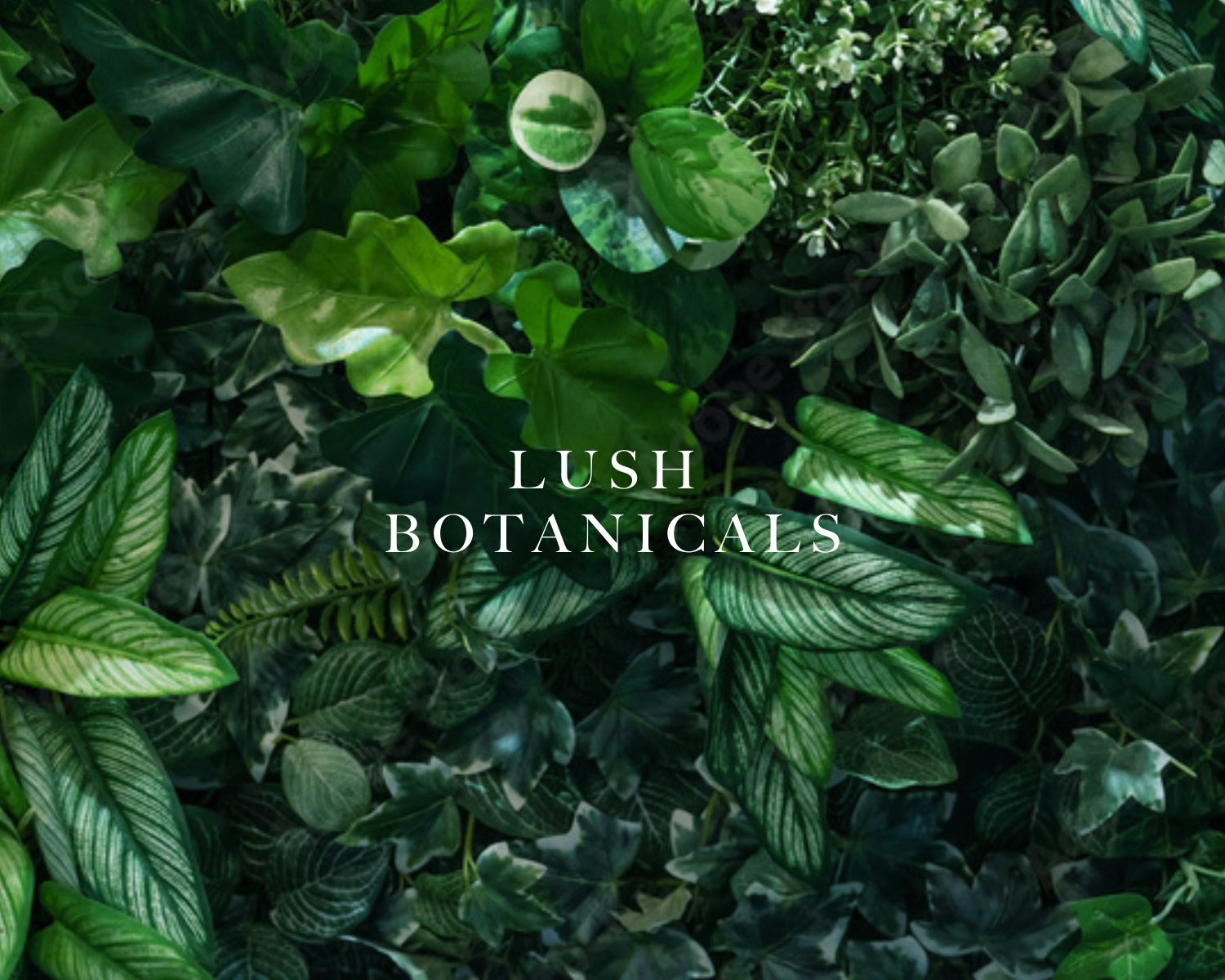 Caswell-Massey Sandalwood Eau de Toilette: image of a mix of green plant leaves to represent botanicals as a scent notes