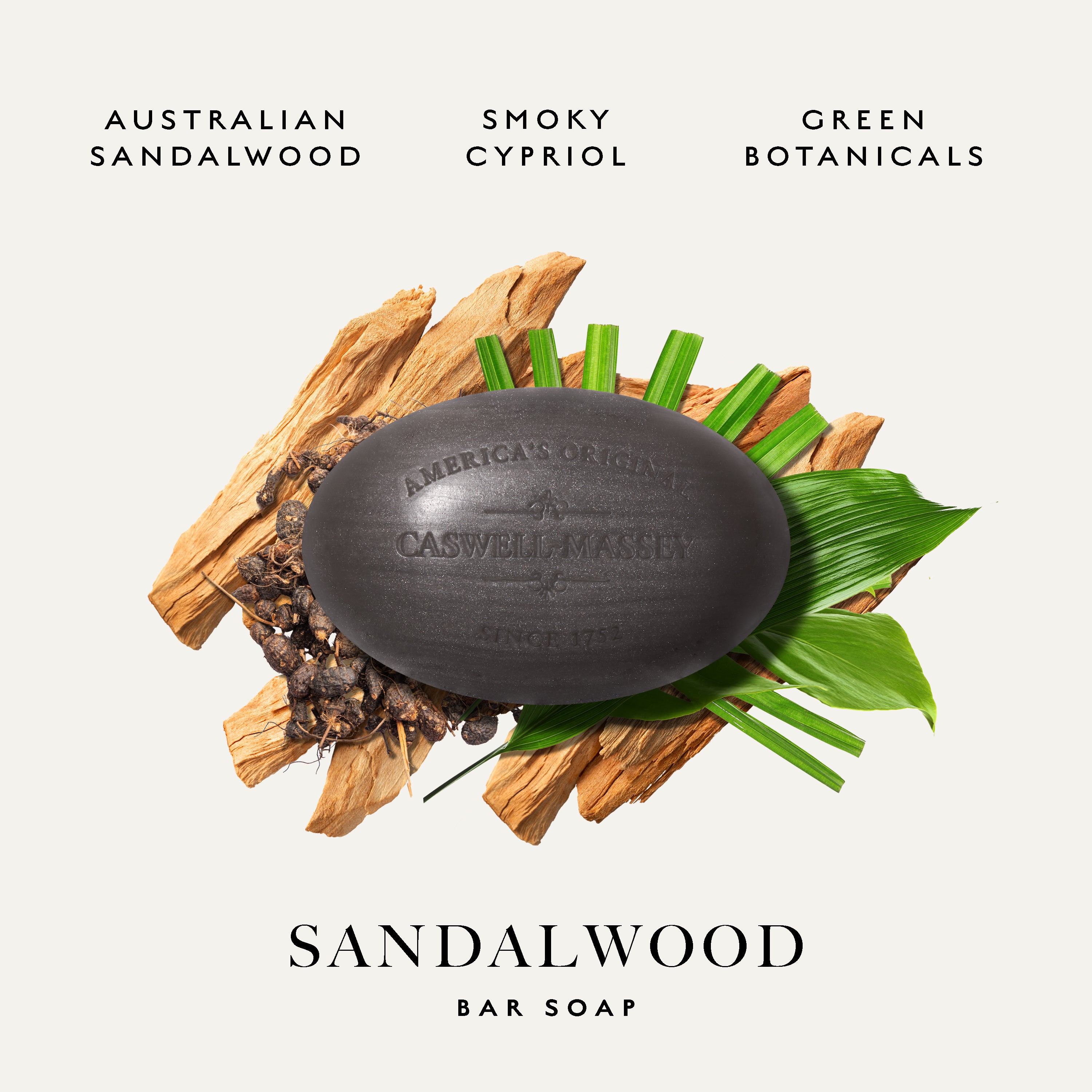 A dark charcoal bar of soap labeled 'America's Original Casewell Market' rests on a styled arrangement of sandalwood pieces, green leaves, and dried botanicals on a light beige background. Text at the top reads 'AUSTRALIAN SANDALWOOD', 'SMOKY CYPRIOL', and 'GREEN BOTANICALS', with 'SANDALWOOD BAR SOAP' at the bottom.