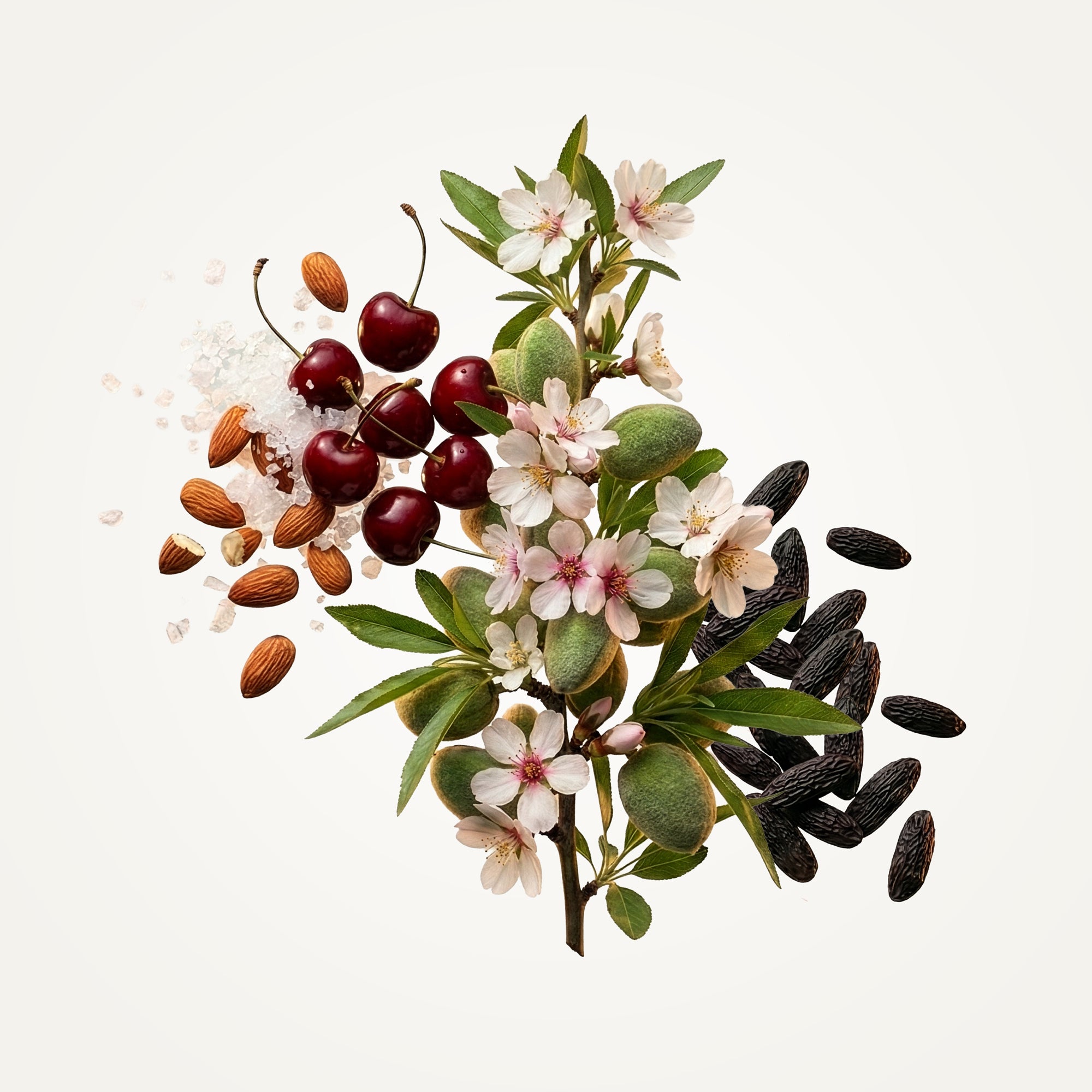 Almond Eau de Toilette | Fine Fragrance | Caswell-Massey®