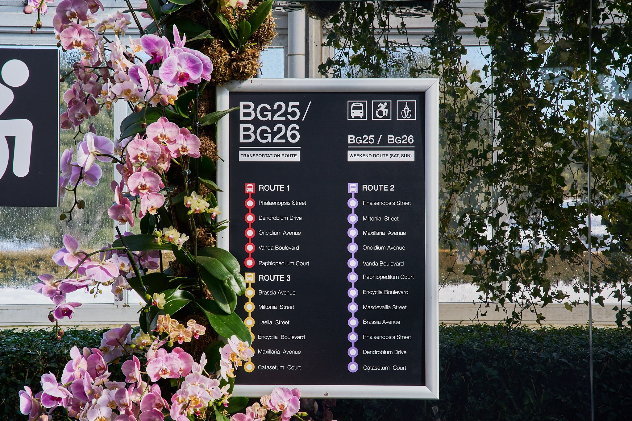 Mr Flower Fantastic's Orchid Show: A replica of NYC's Bus Sign surrounded by orchids