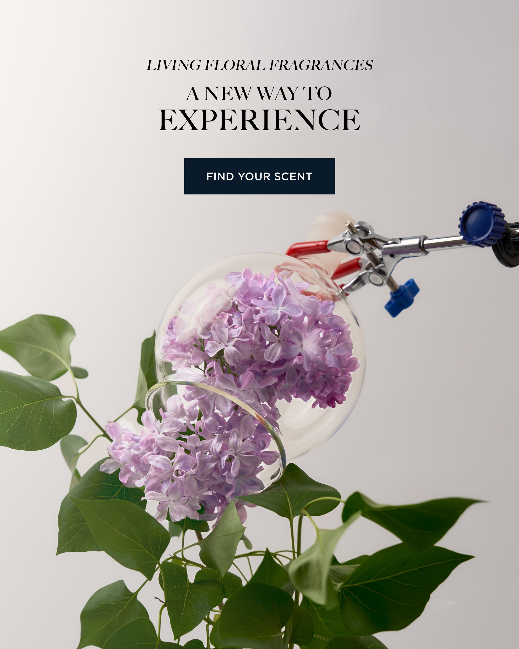 Caswell-Massey® | America's Finest Fragrances & Soaps Since 1752