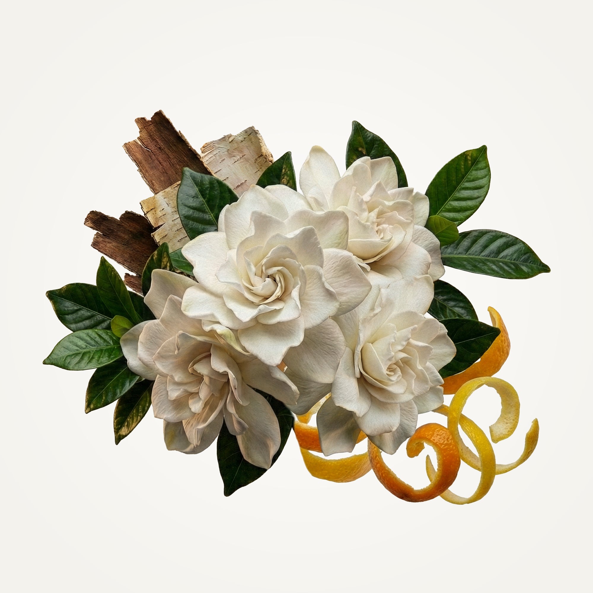 Gardenia Eau de Toilette | Fine Fragrance | Caswell-Massey®