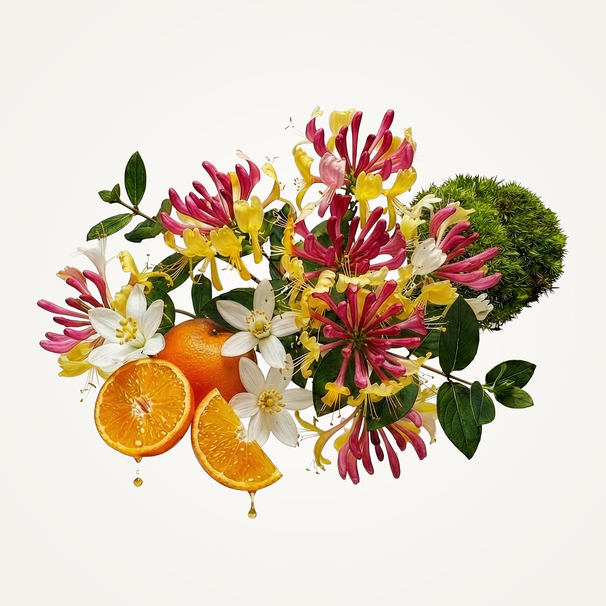 Honeysuckle Eau de Toilette | Fine Fragrance | Caswell-Massey®