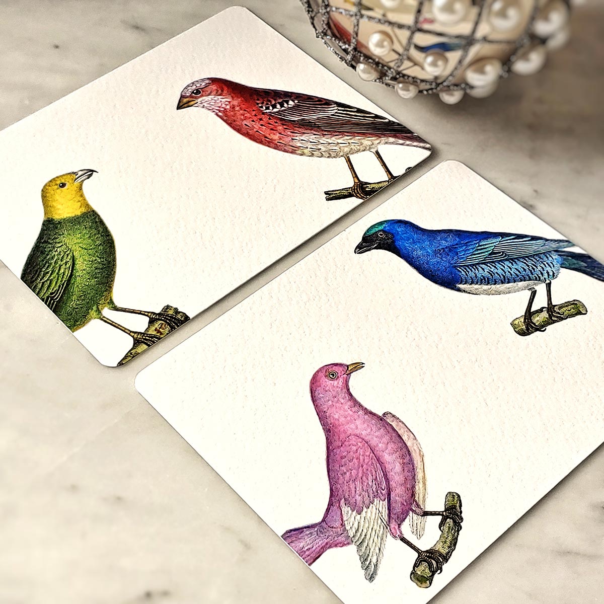 Chromatic Cuckoo - Pack of Note Cards